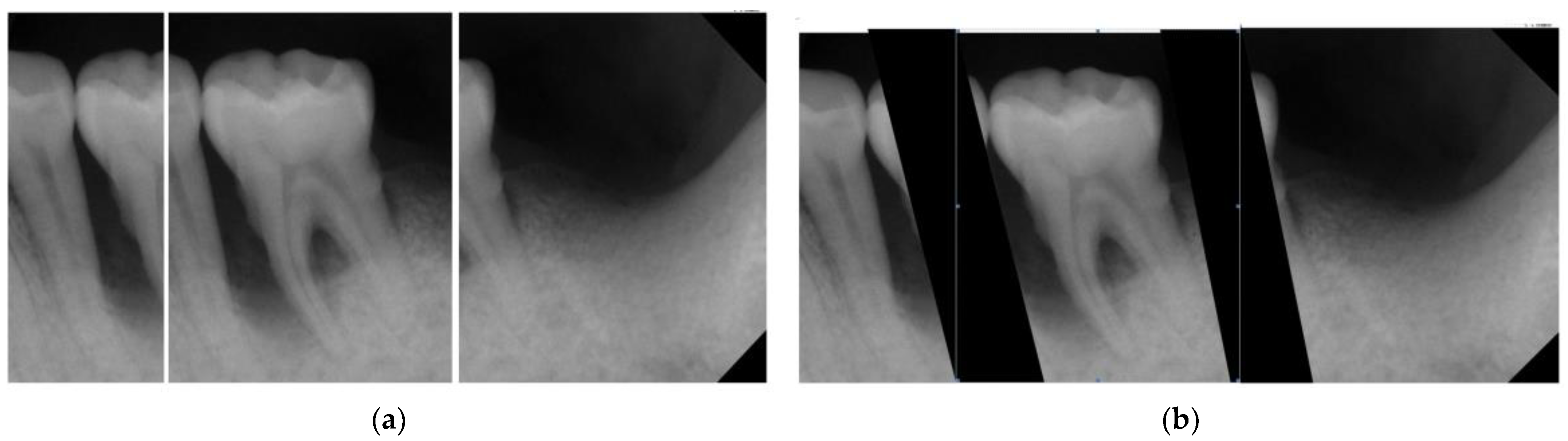 Bioengineering 10 00802 g008