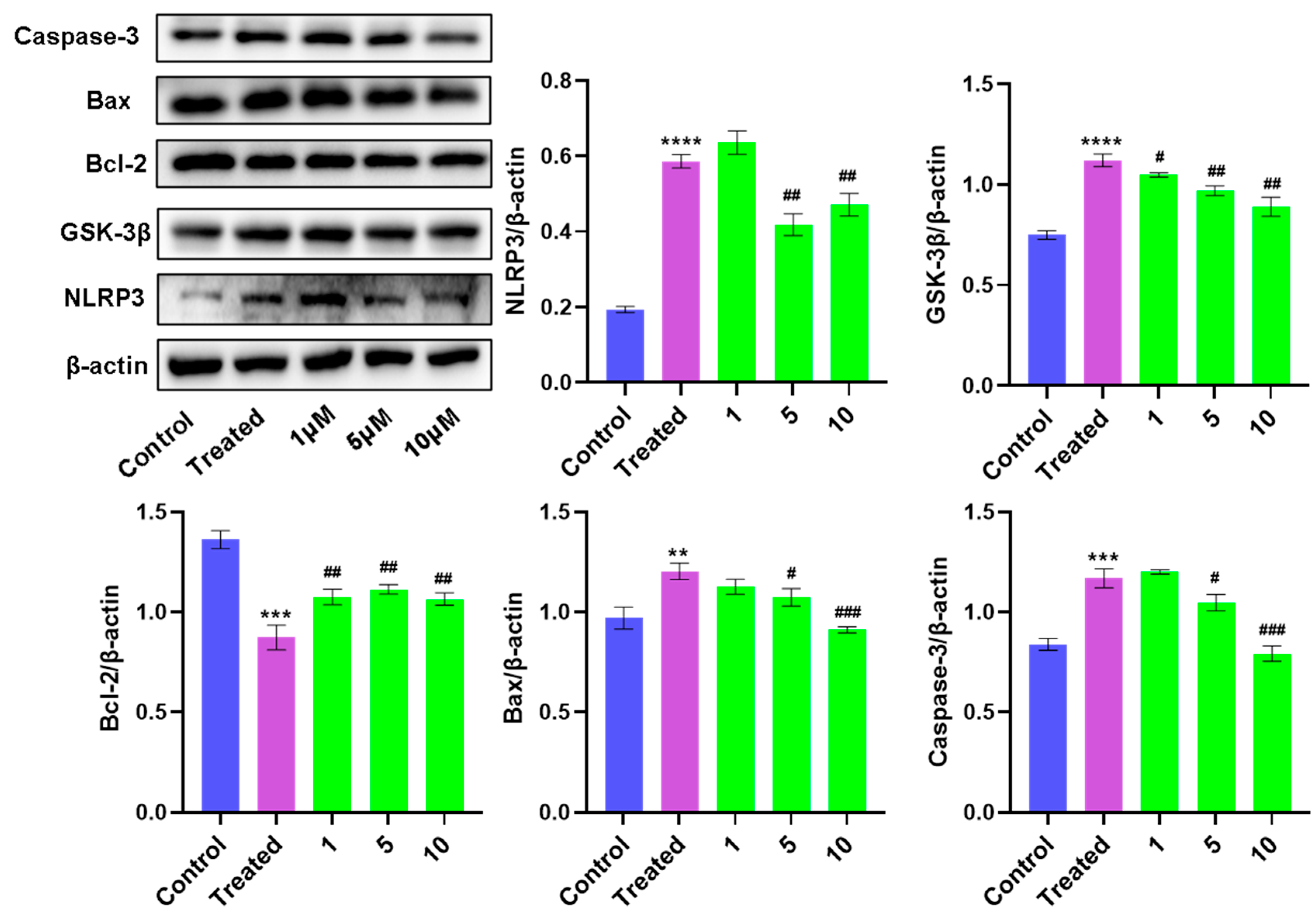 Bioengineering 10 00805 g008