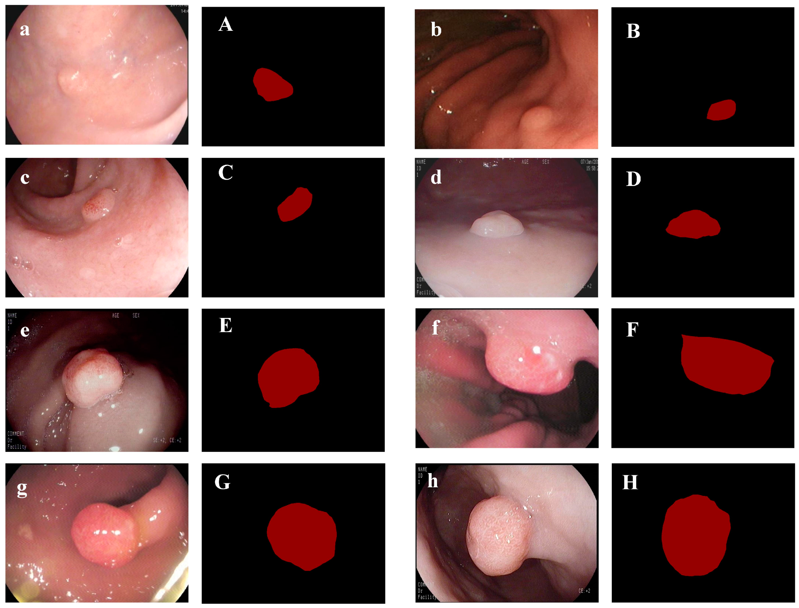 Bioengineering 10 00806 g001