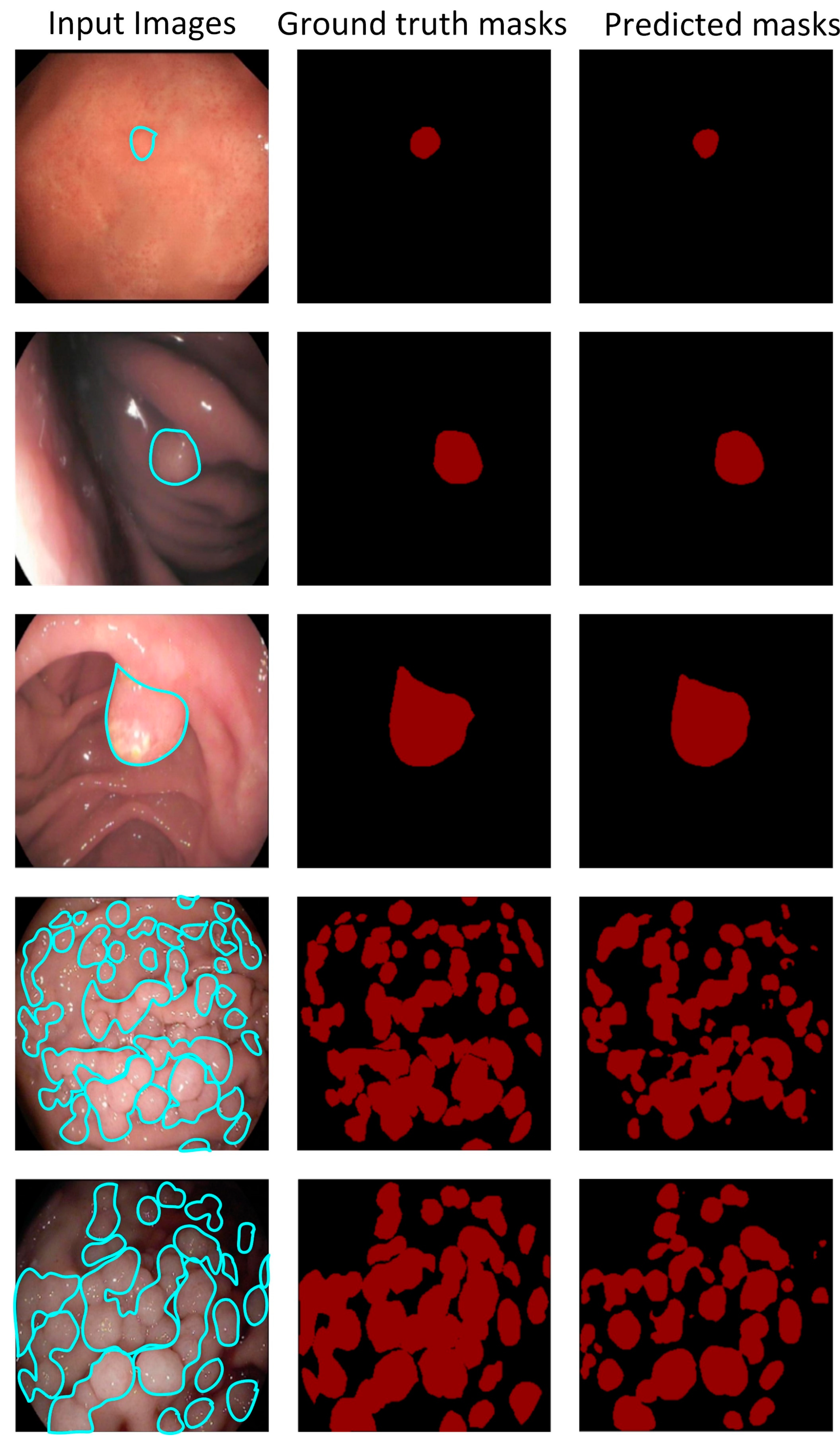 Bioengineering 10 00806 g005