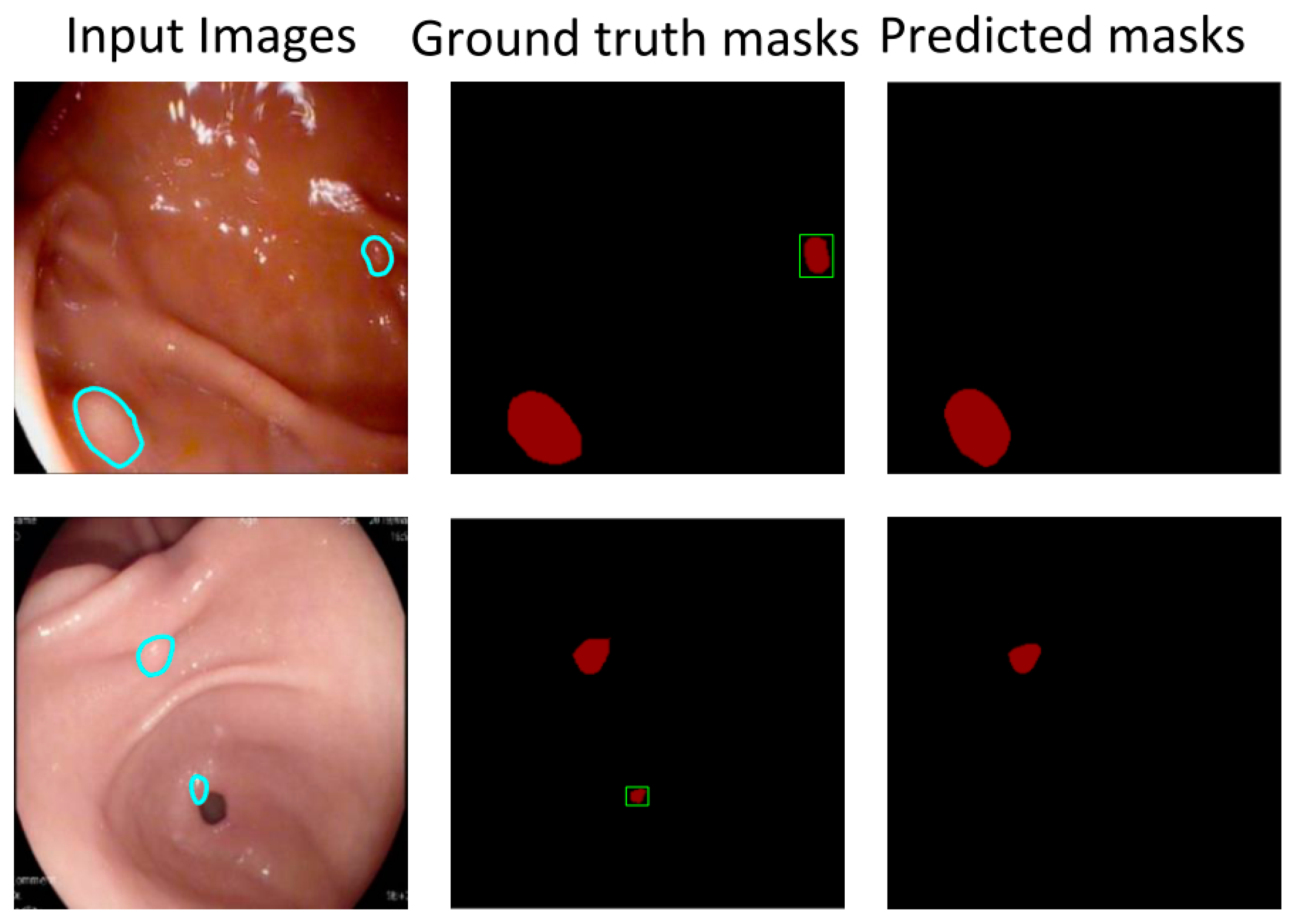Bioengineering 10 00806 g007