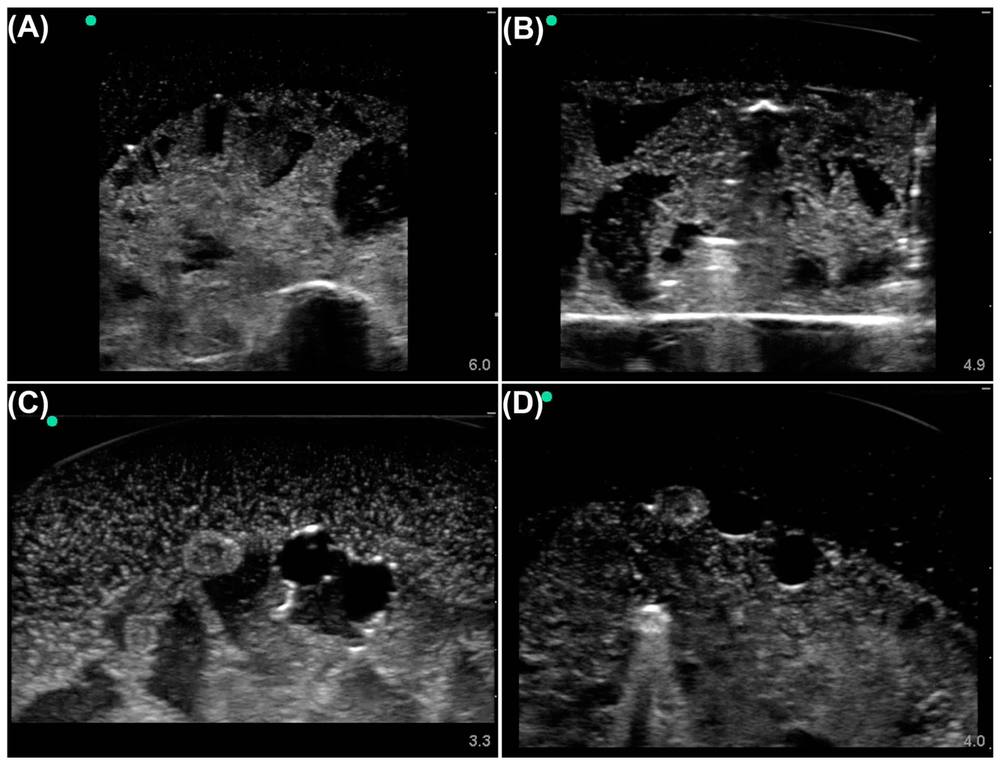 Bioengineering 10 00807 g001