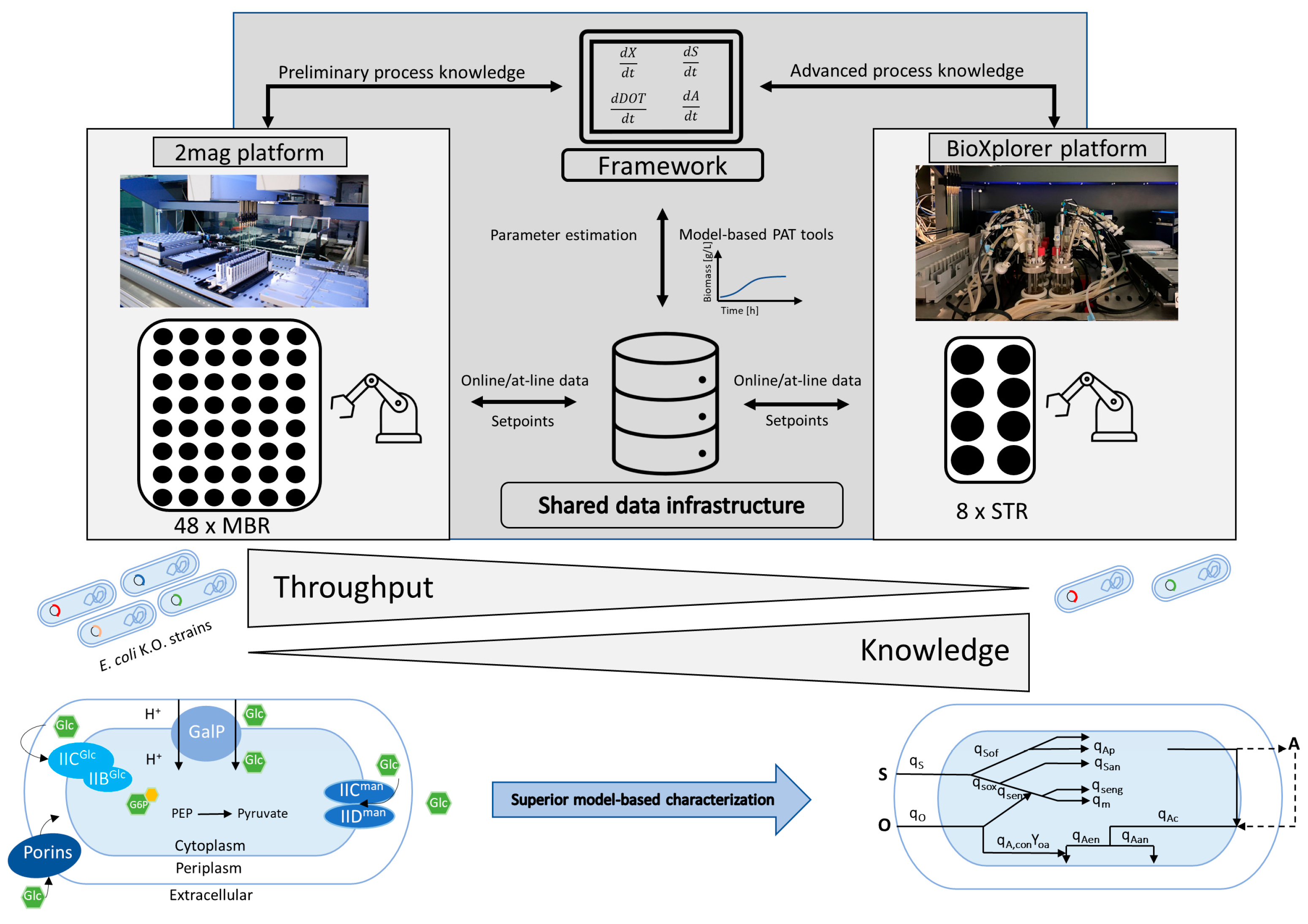 Bioengineering 10 00808 g002 Bioengineering 10 00808 g002