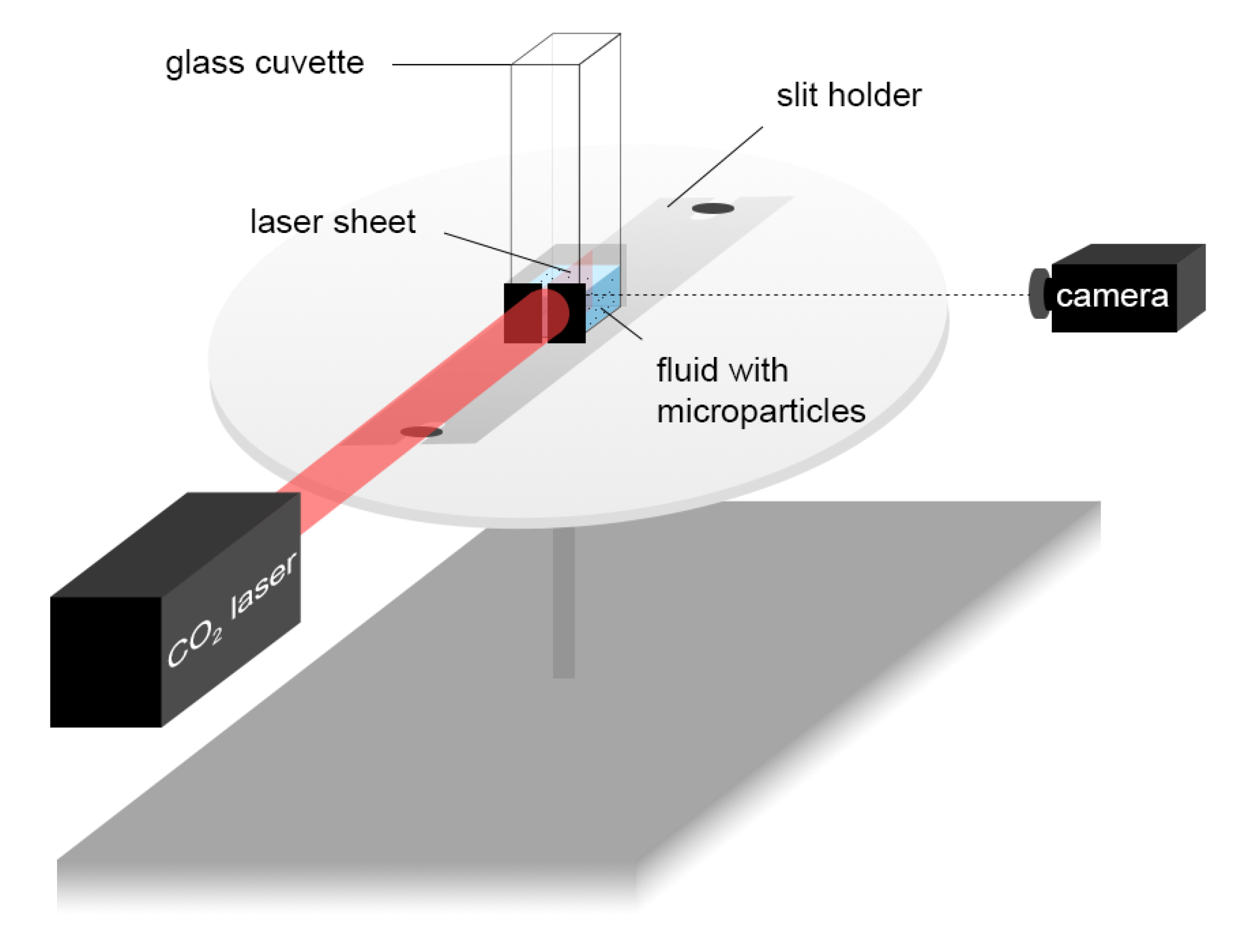 Bioengineering 10 00811 g005