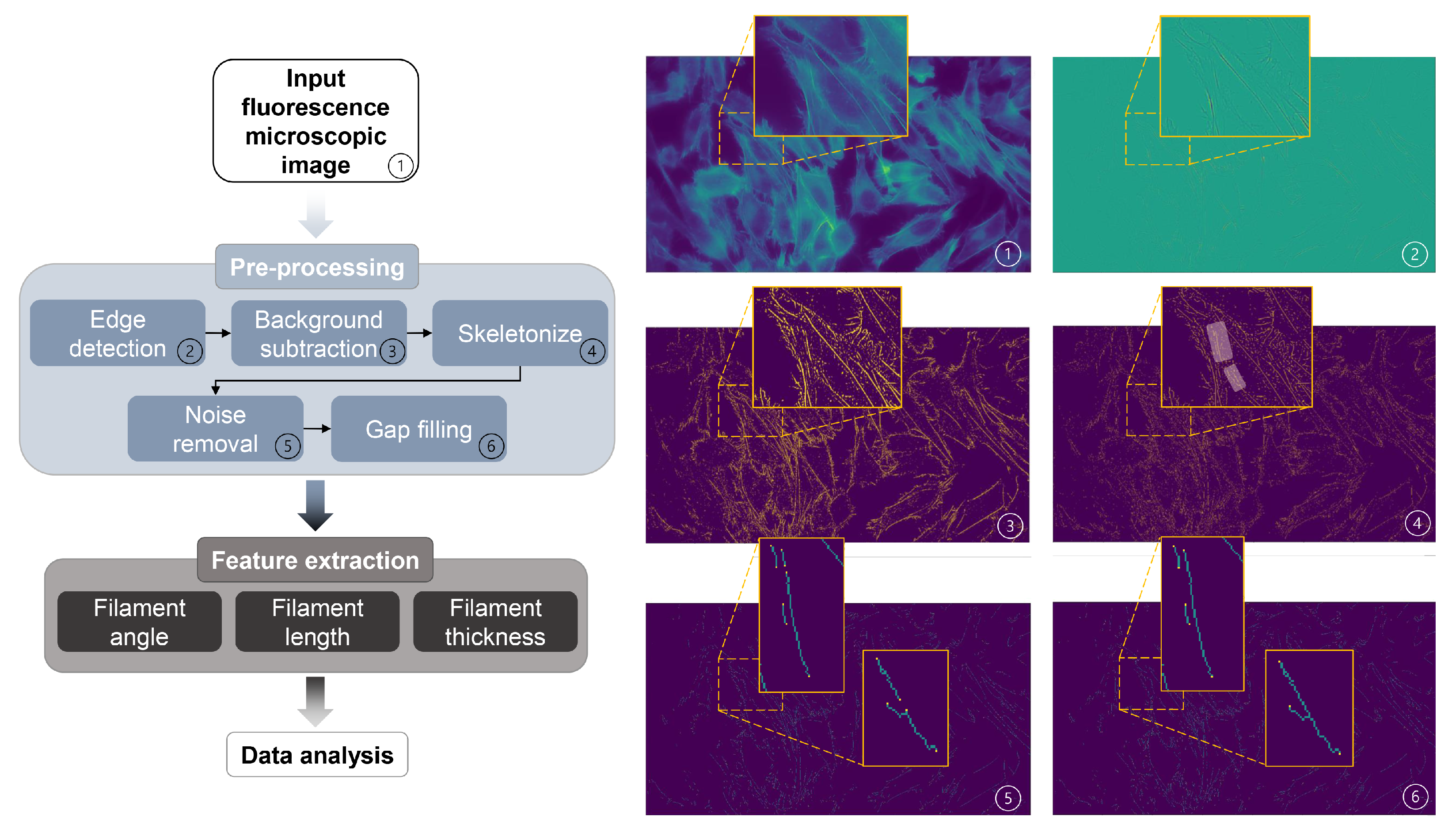 Bioengineering 10 00811 g006