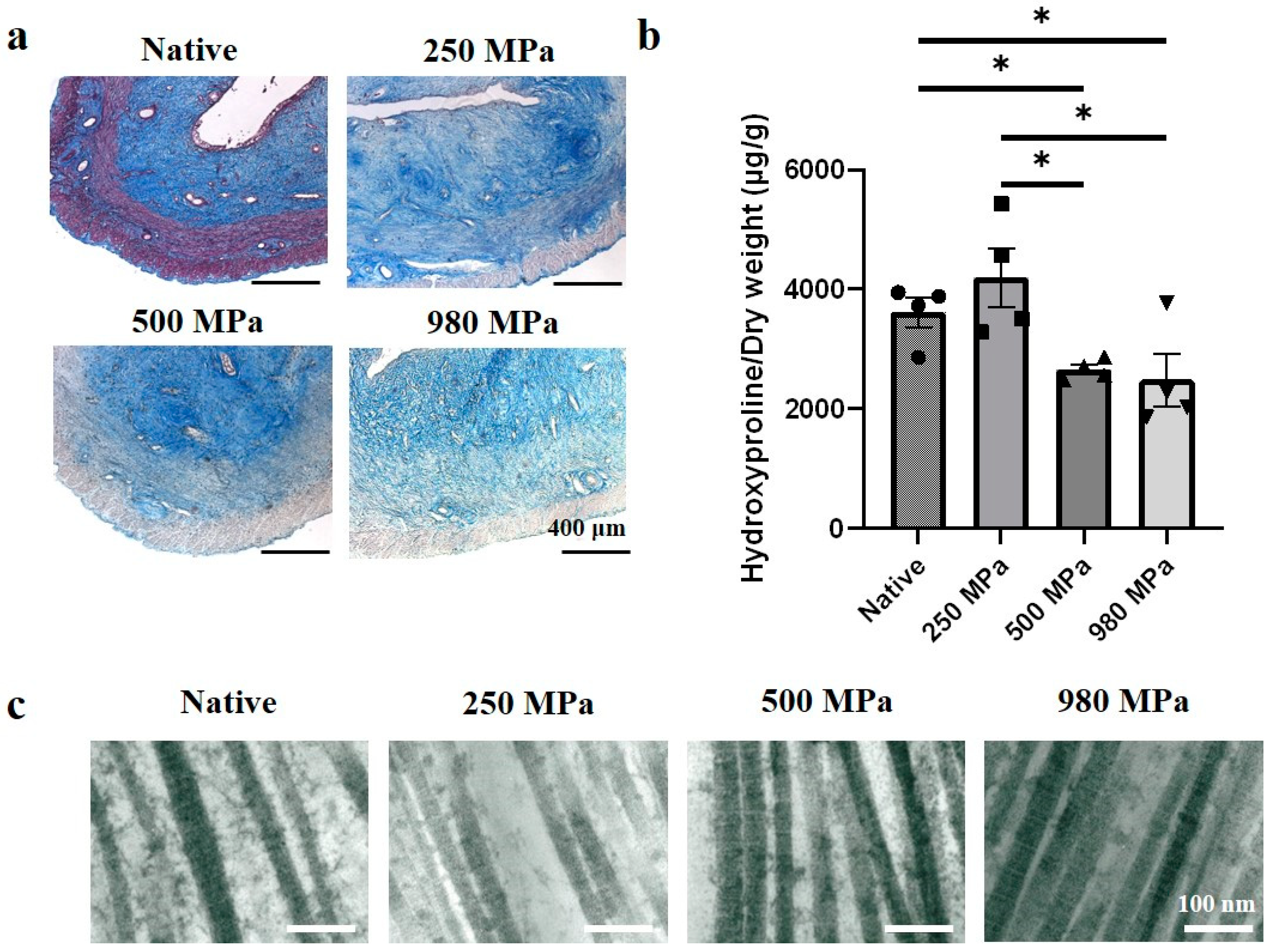 Bioengineering 10 00814 g003