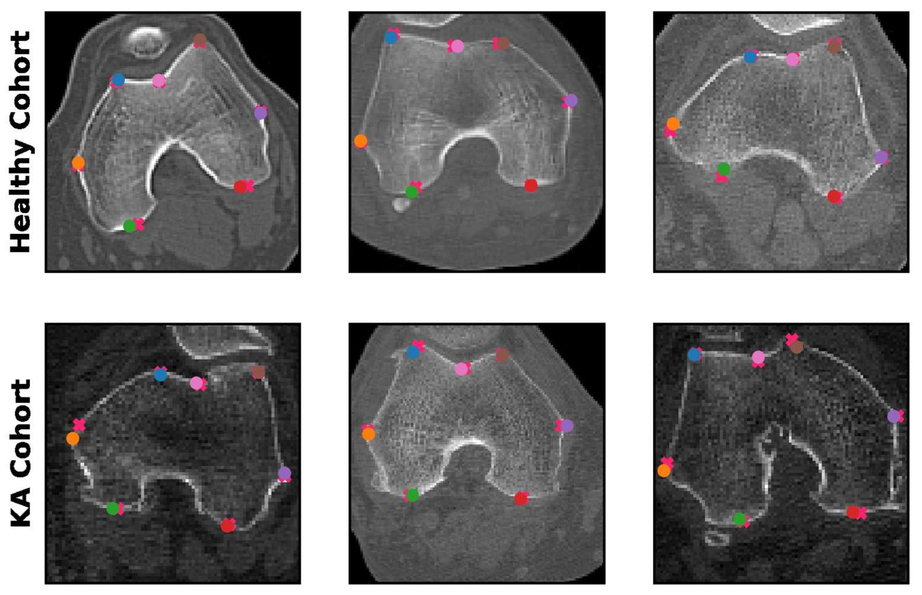 Bioengineering 10 00815 g004