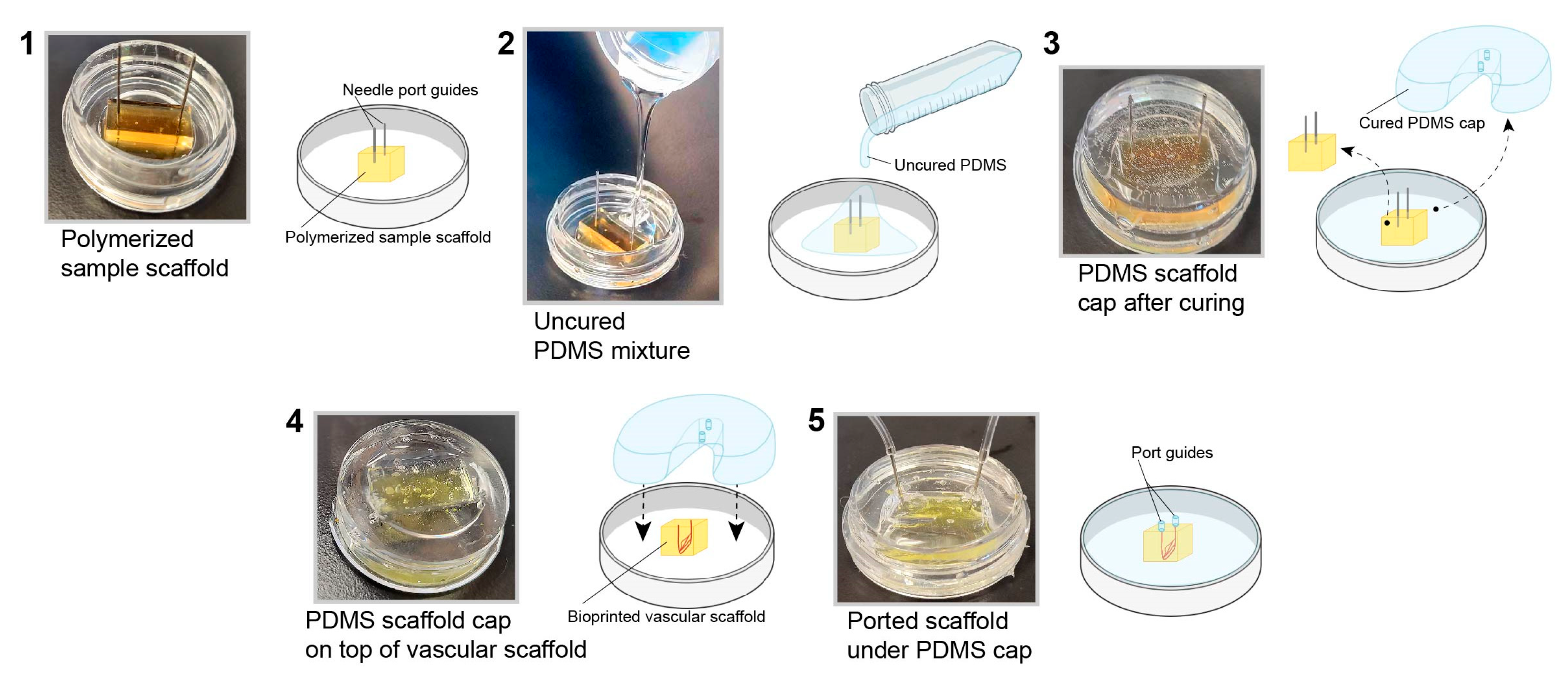 Bioengineering 10 00817 g002