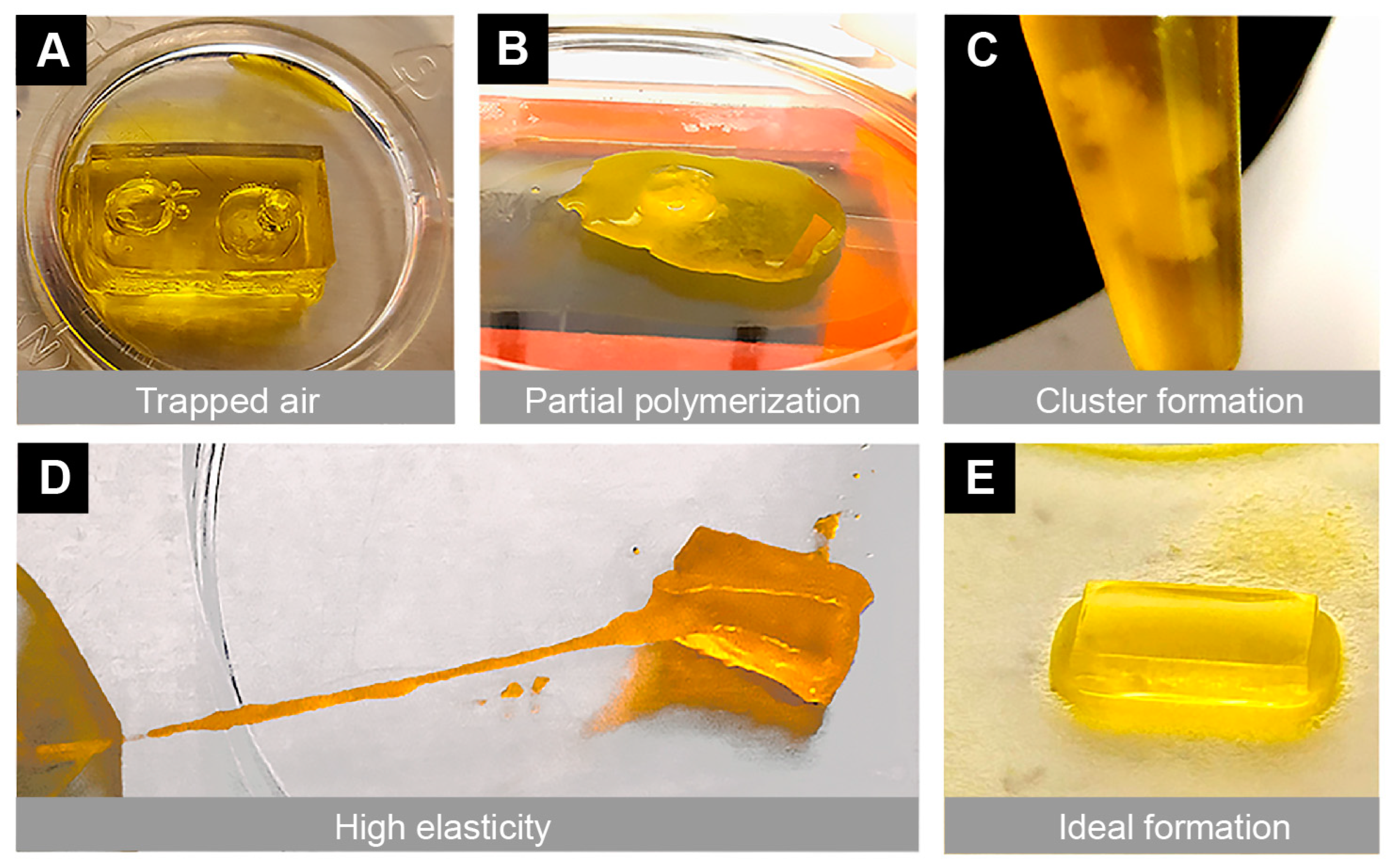 Bioengineering 10 00817 g003