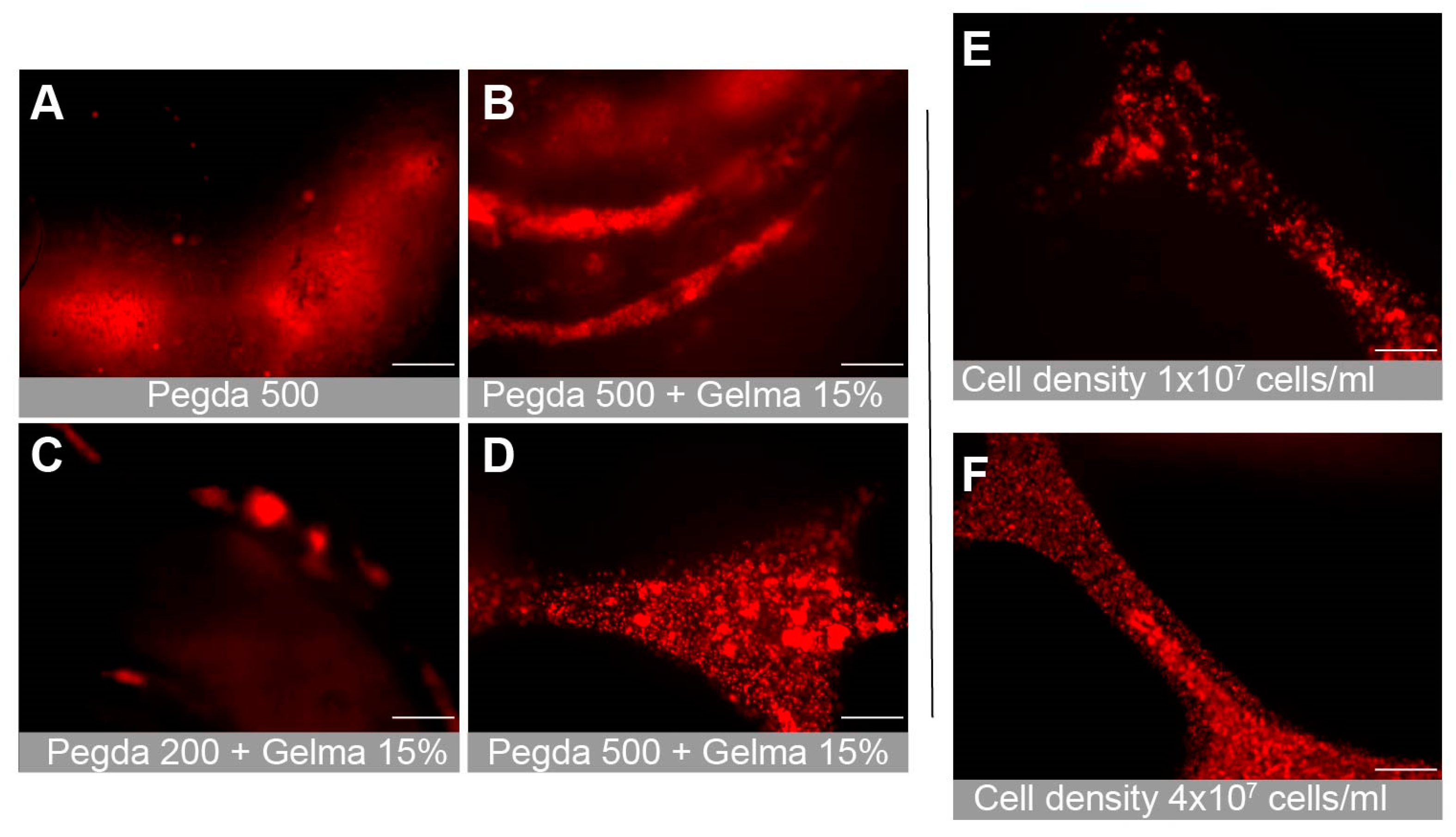 Bioengineering 10 00817 g004