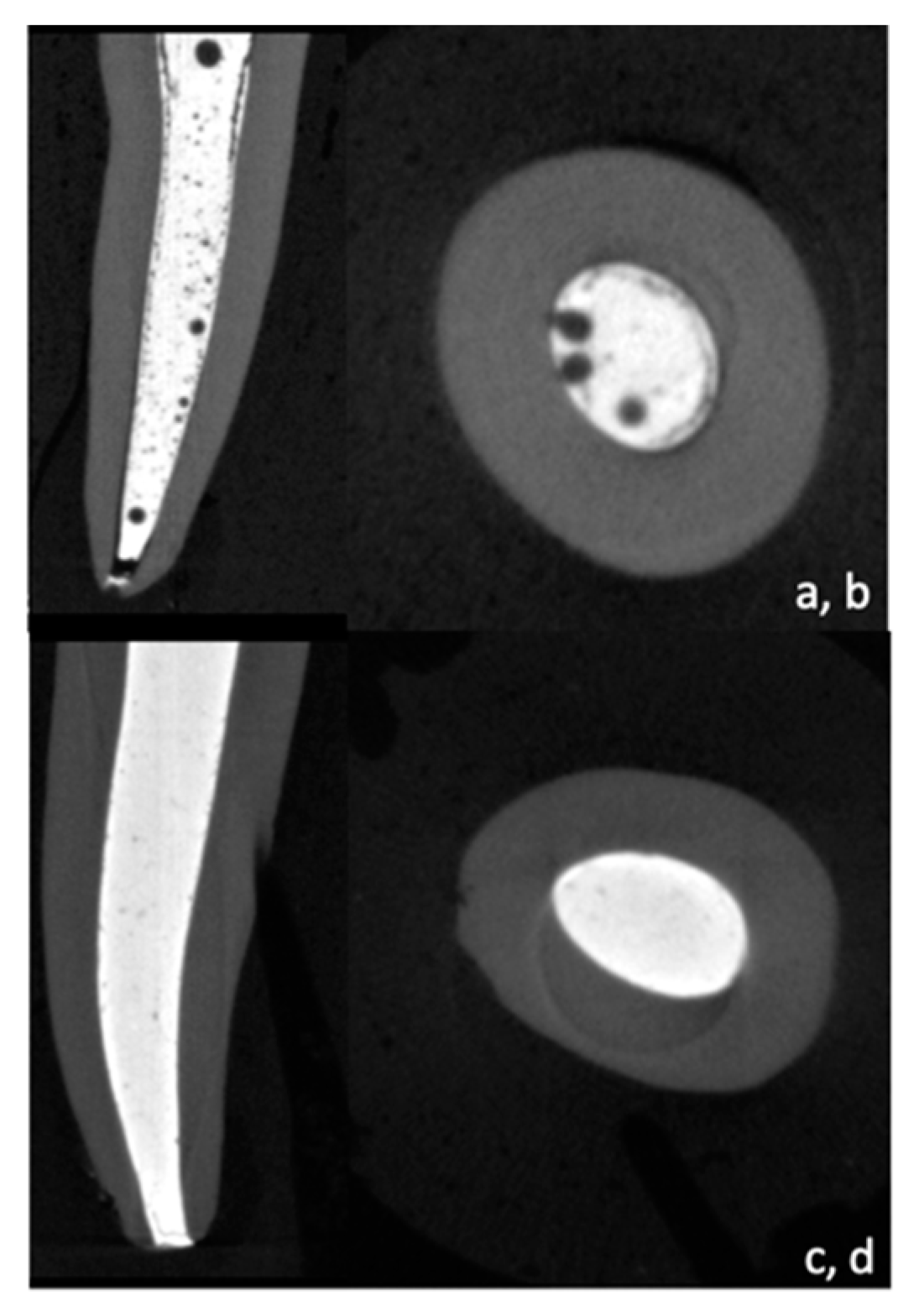 Bioengineering 10 00818 g001
