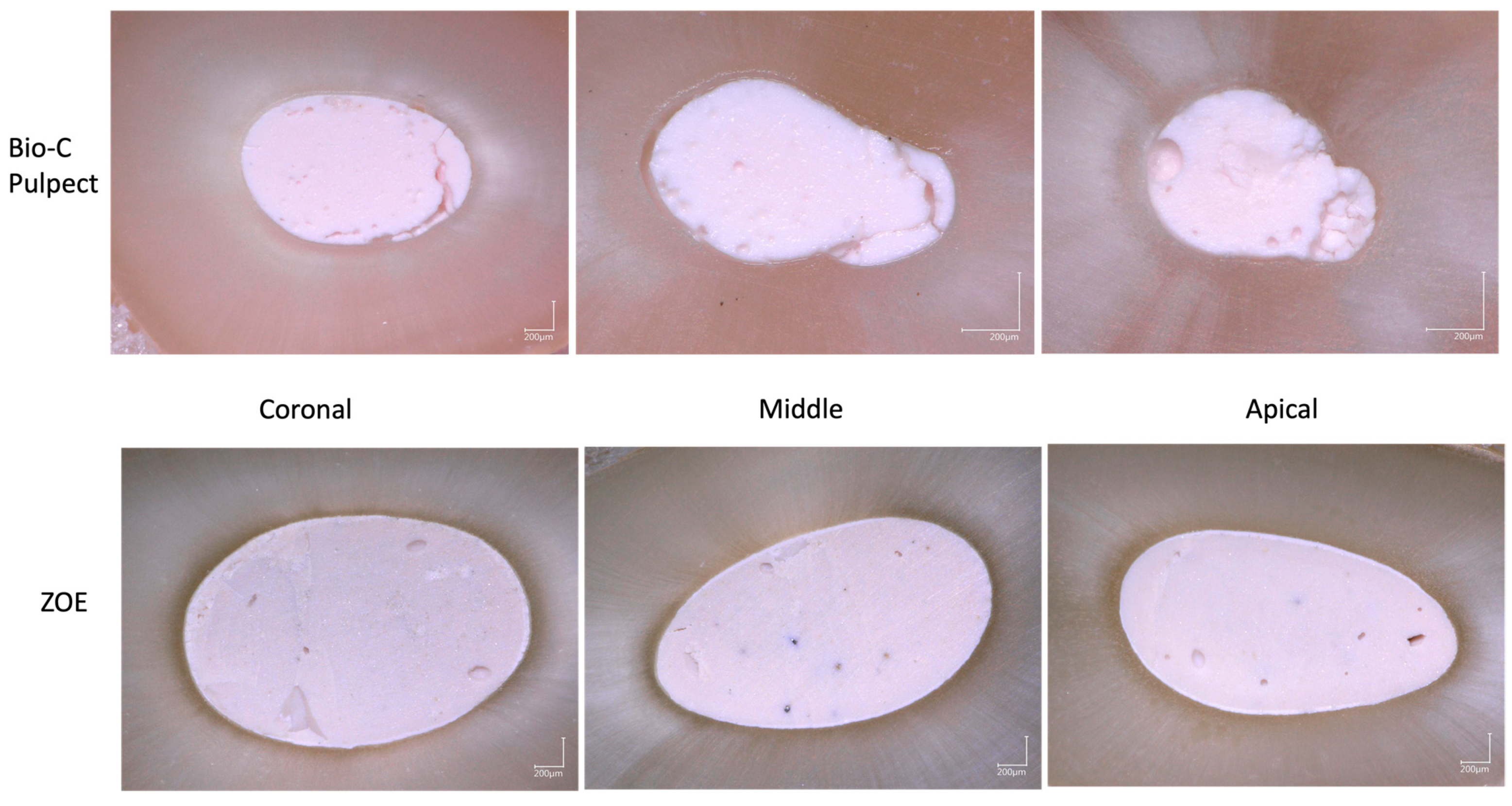 Bioengineering 10 00818 g003