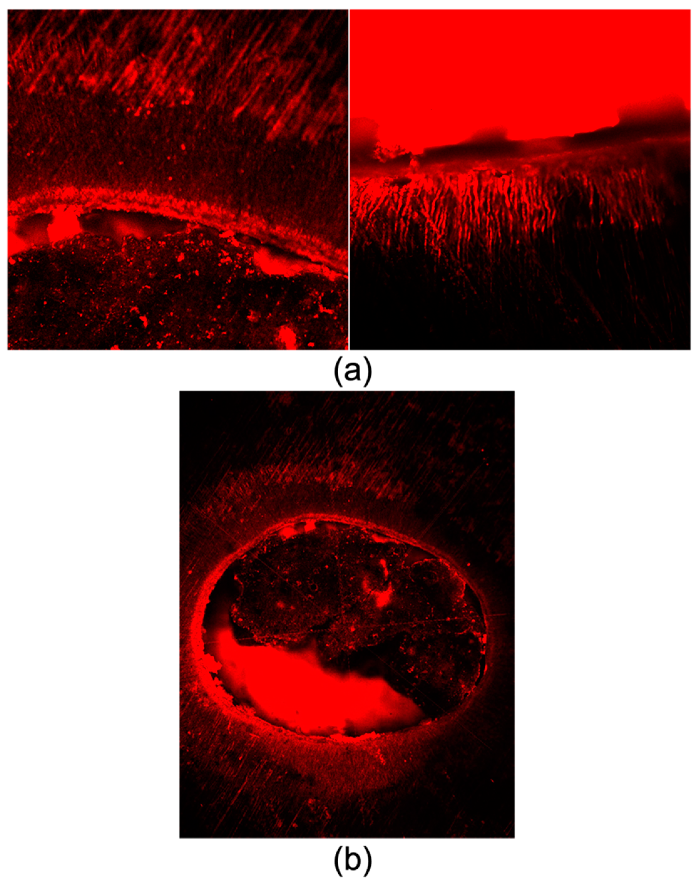 Bioengineering 10 00818 g004