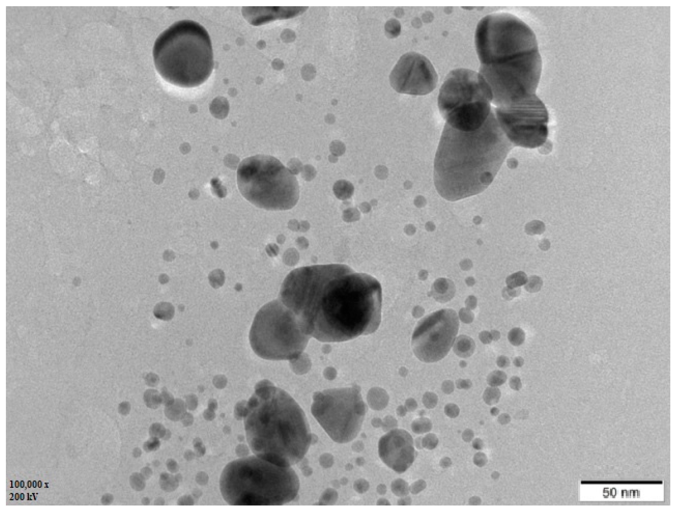Bioengineering 10 00821 g006