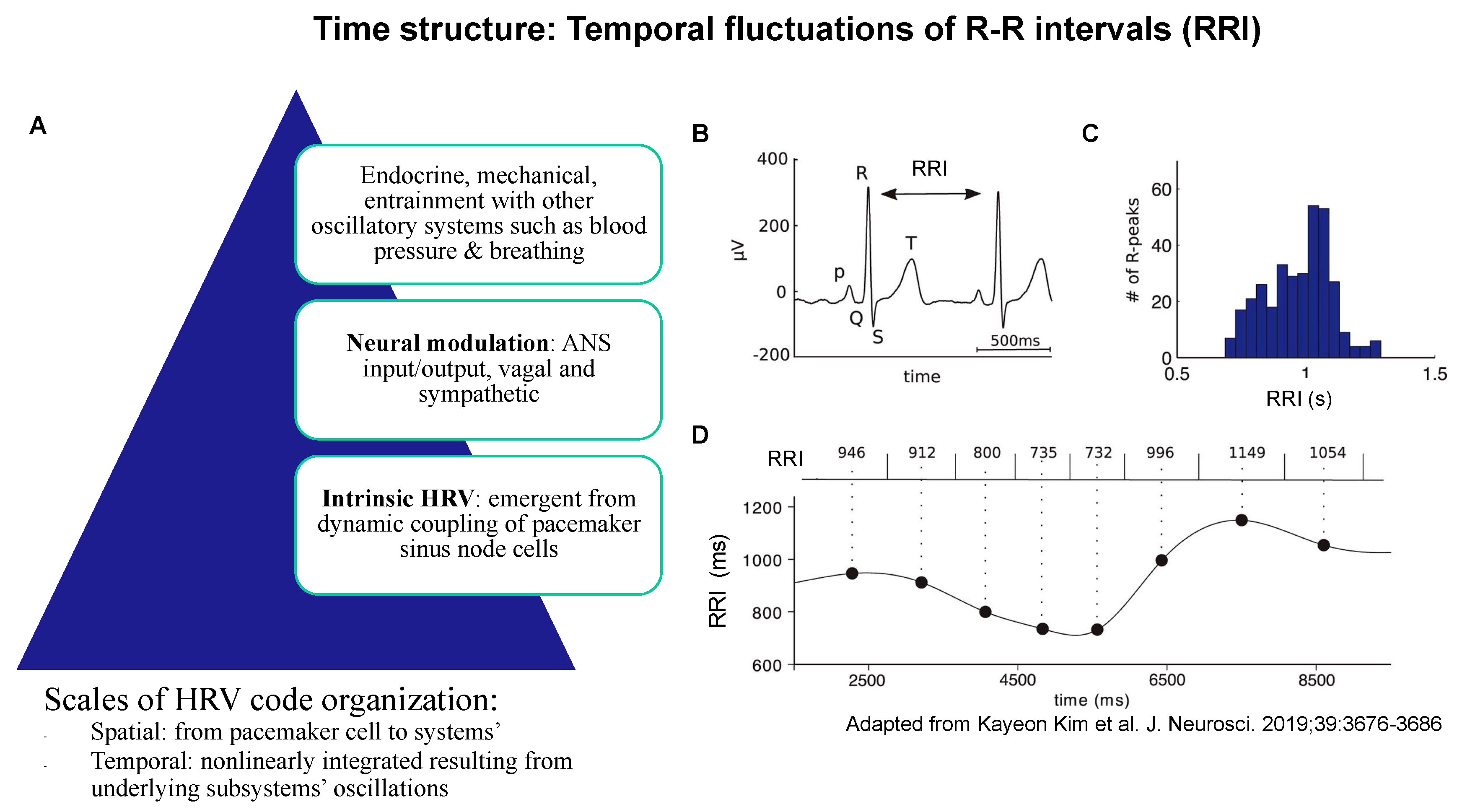 Bioengineering 10 00822 g002 Bioengineering 10 00822 g002