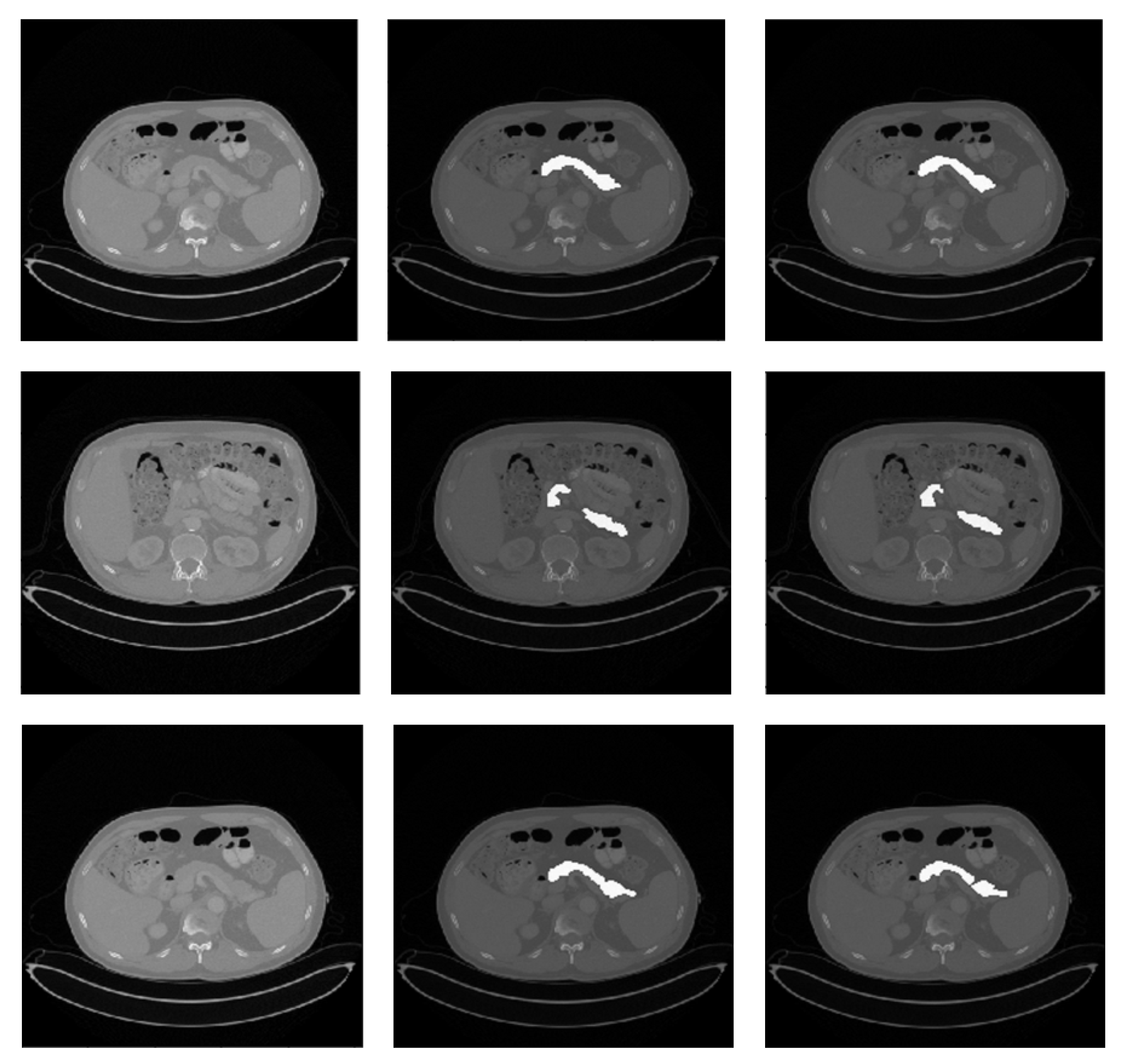 Bioengineering 10 00828 g002 Bioengineering 10 00828 g002