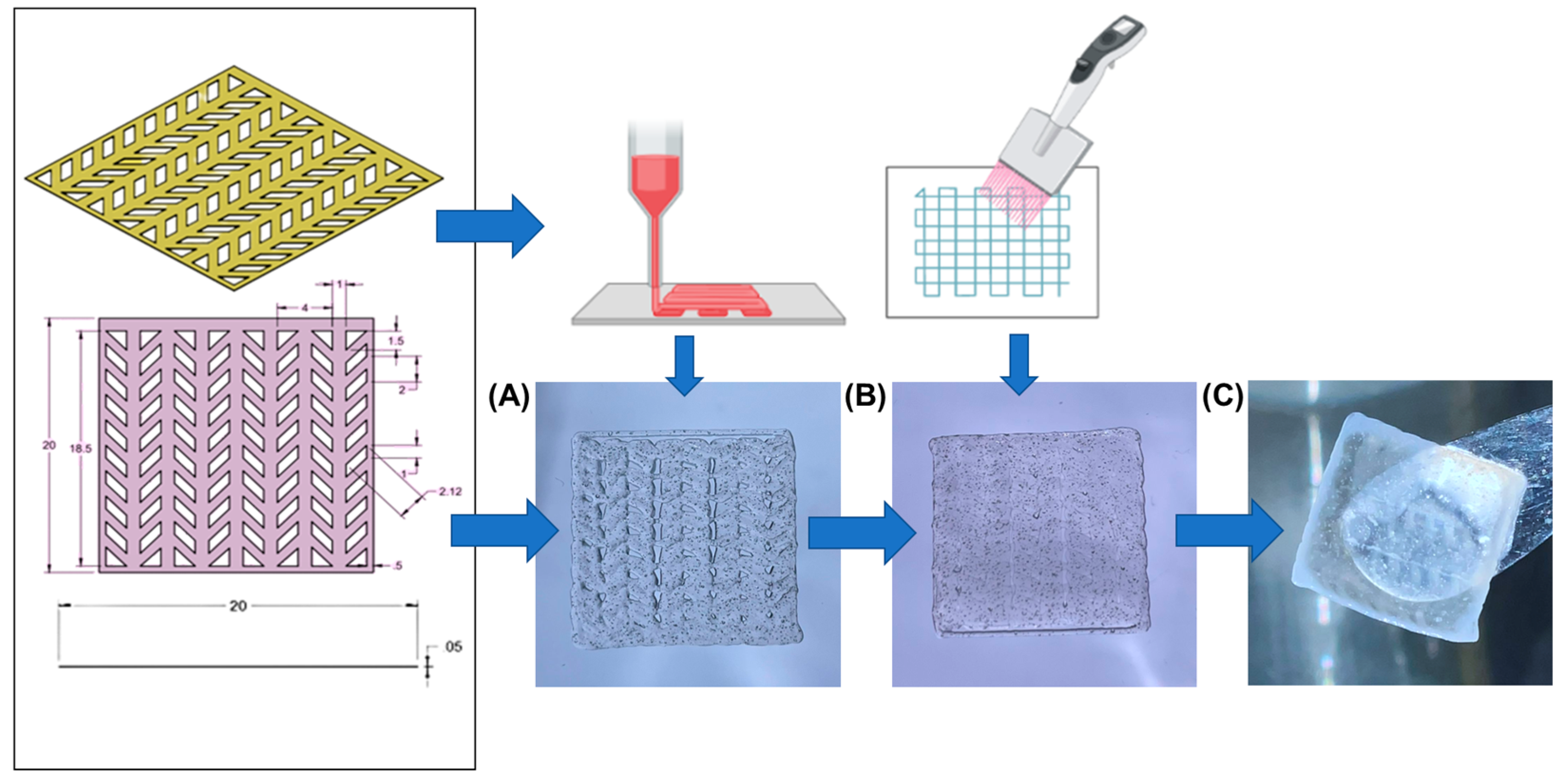 Bioengineering 10 00834 g001