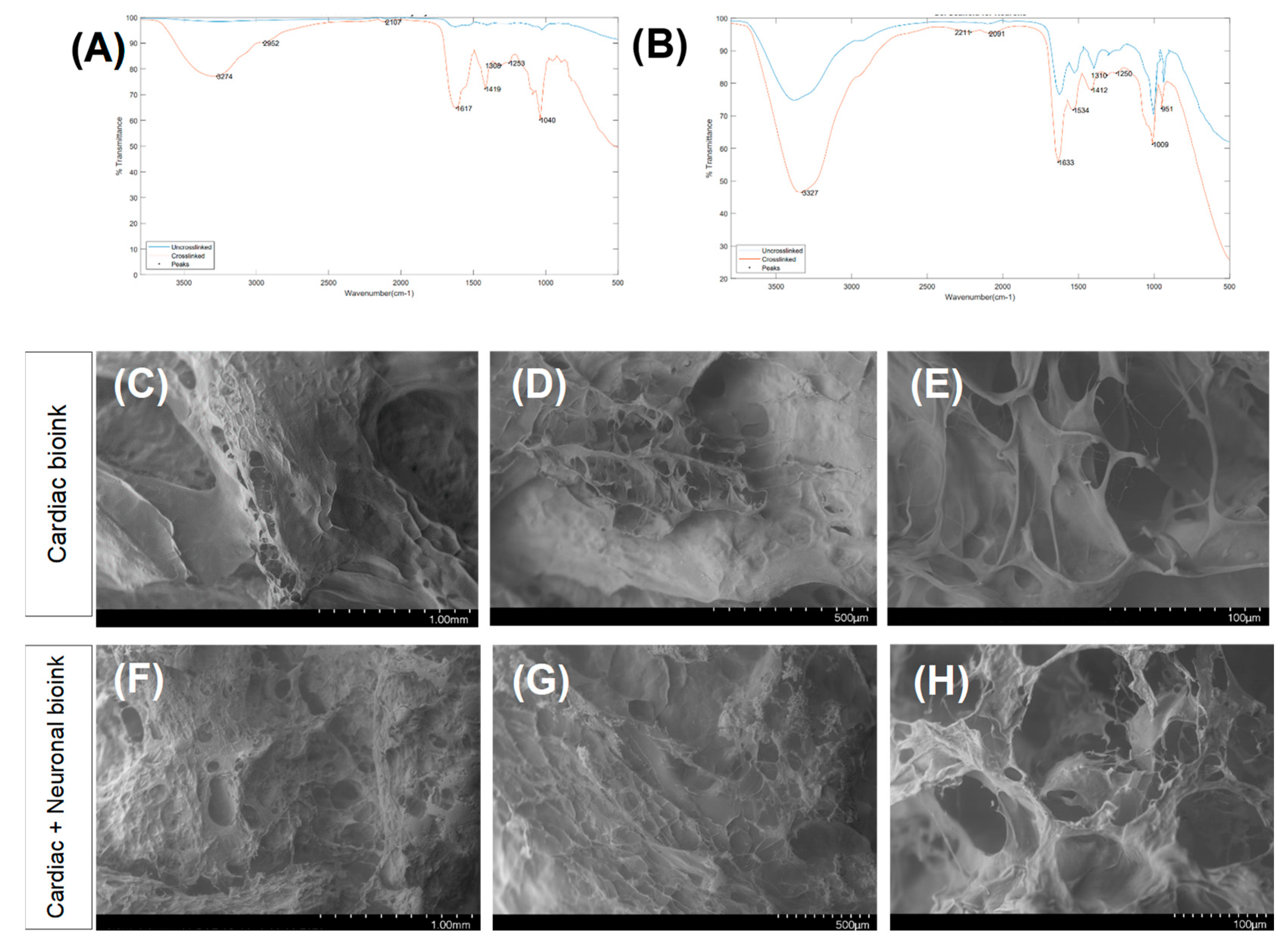 Bioengineering 10 00834 g002