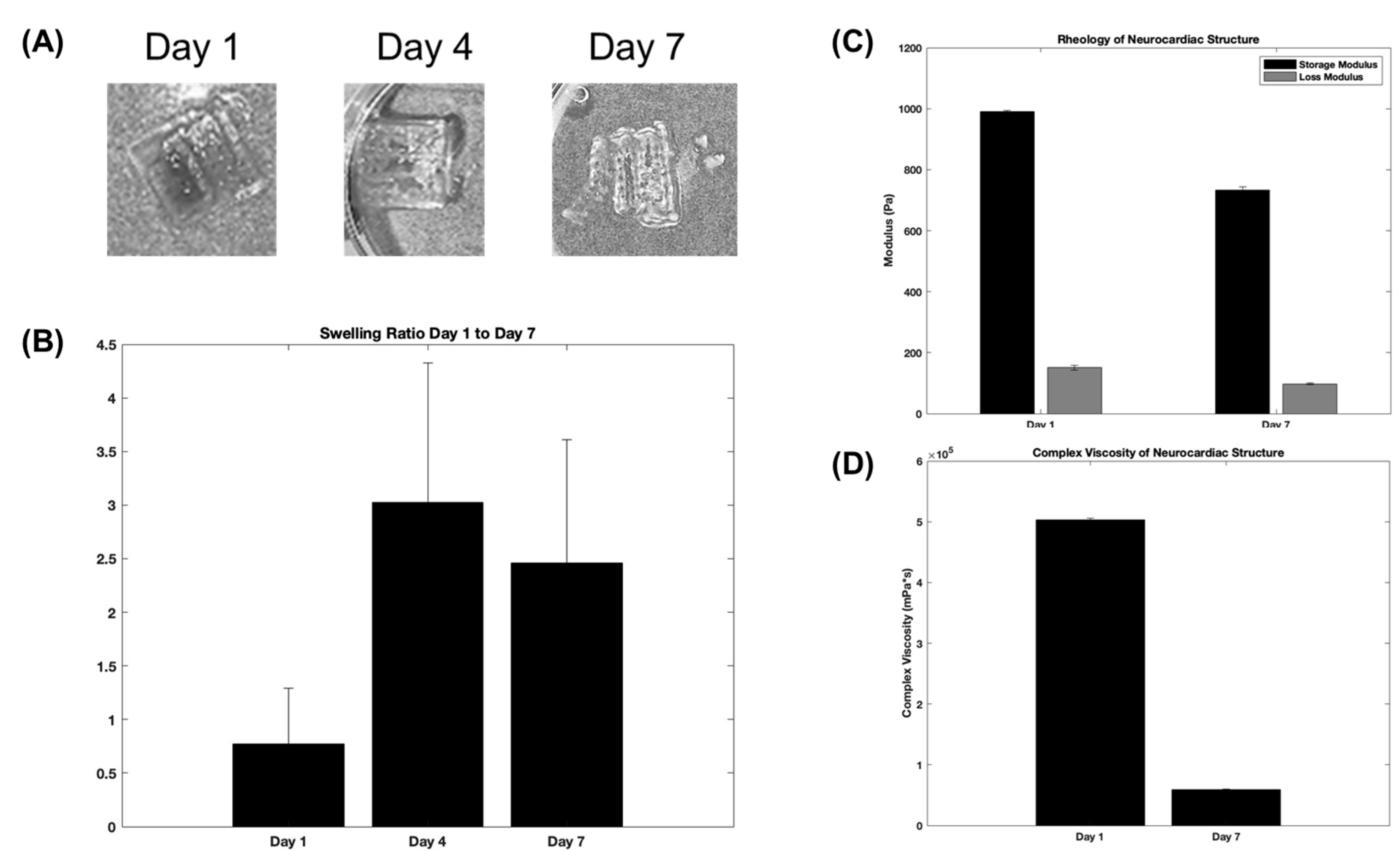 Bioengineering 10 00834 g003