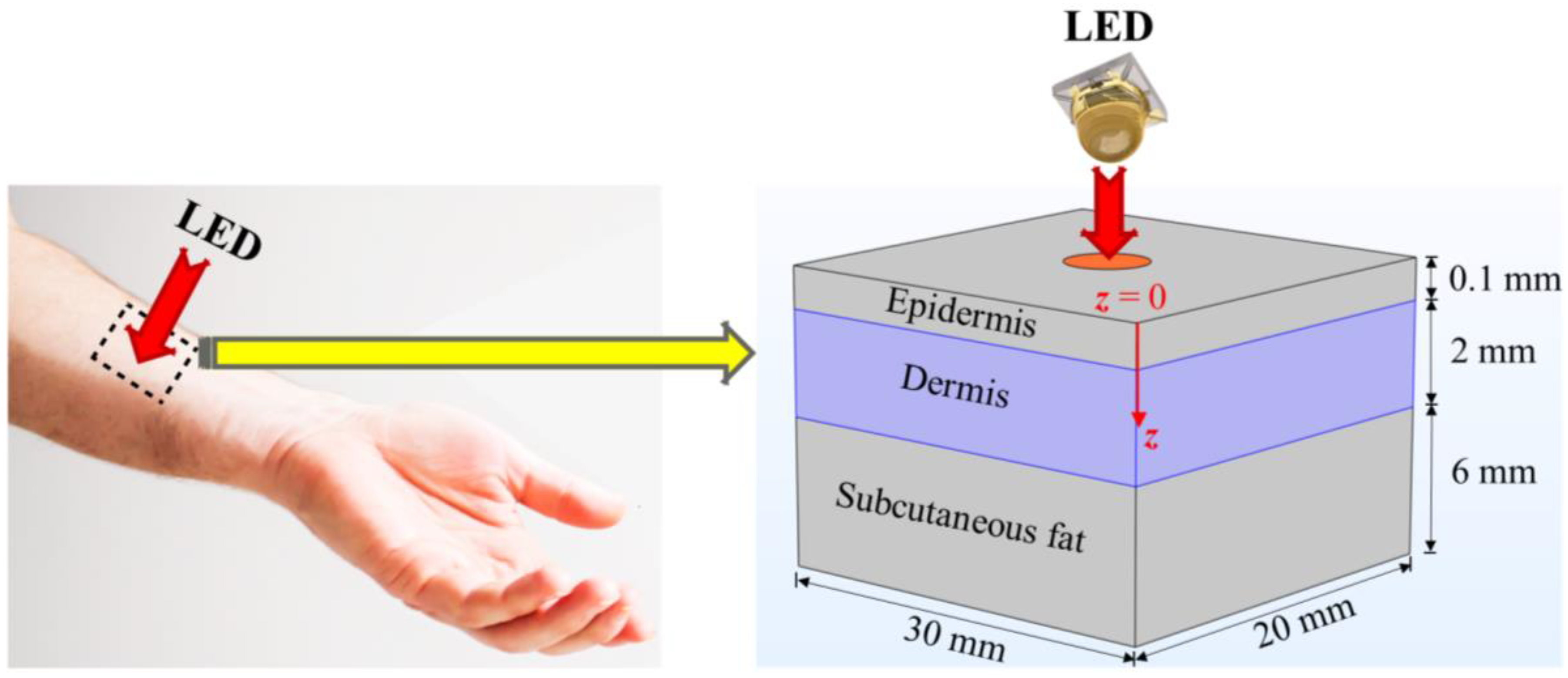 Bioengineering 10 00837 g001