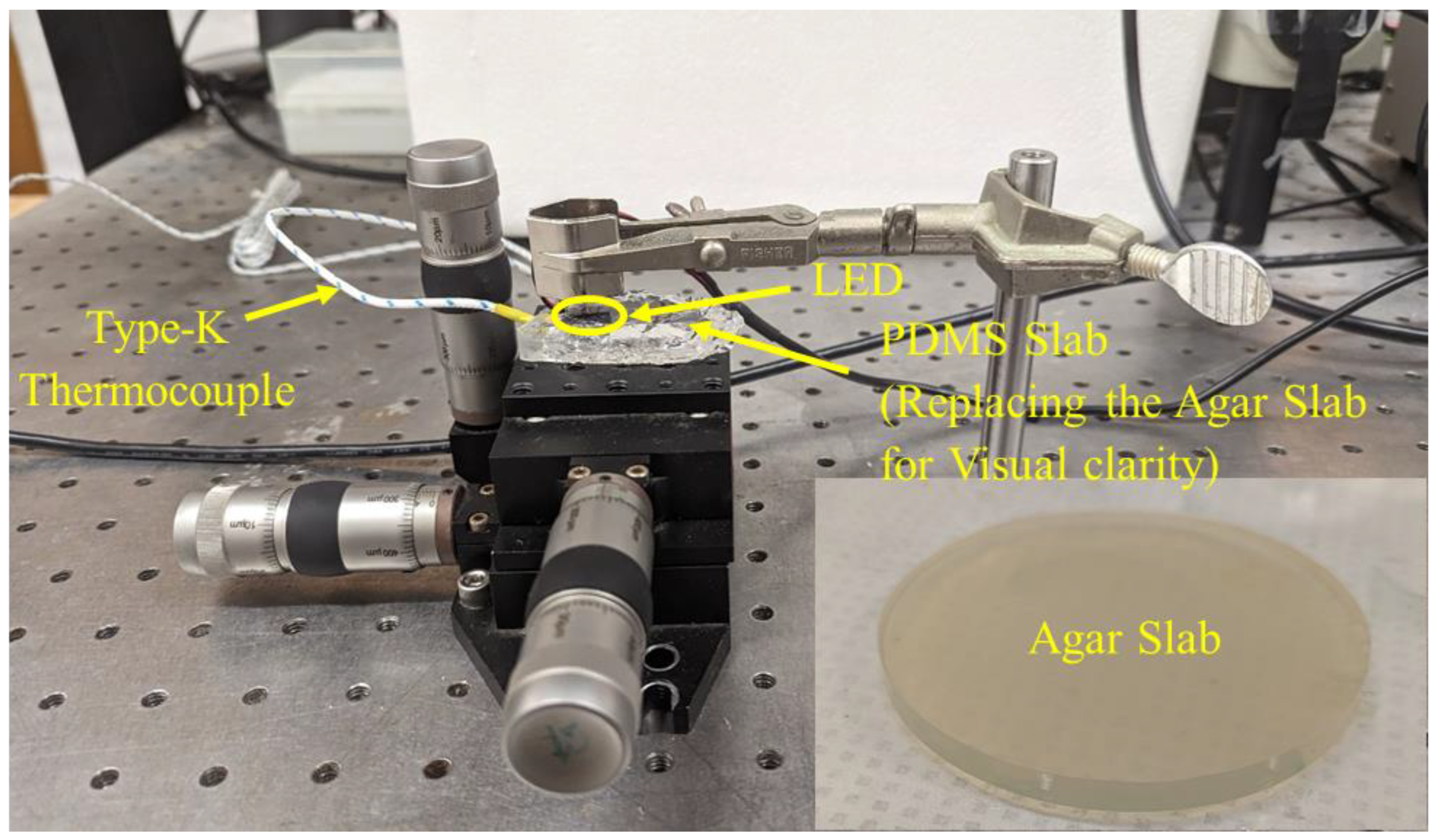 Bioengineering 10 00837 g003