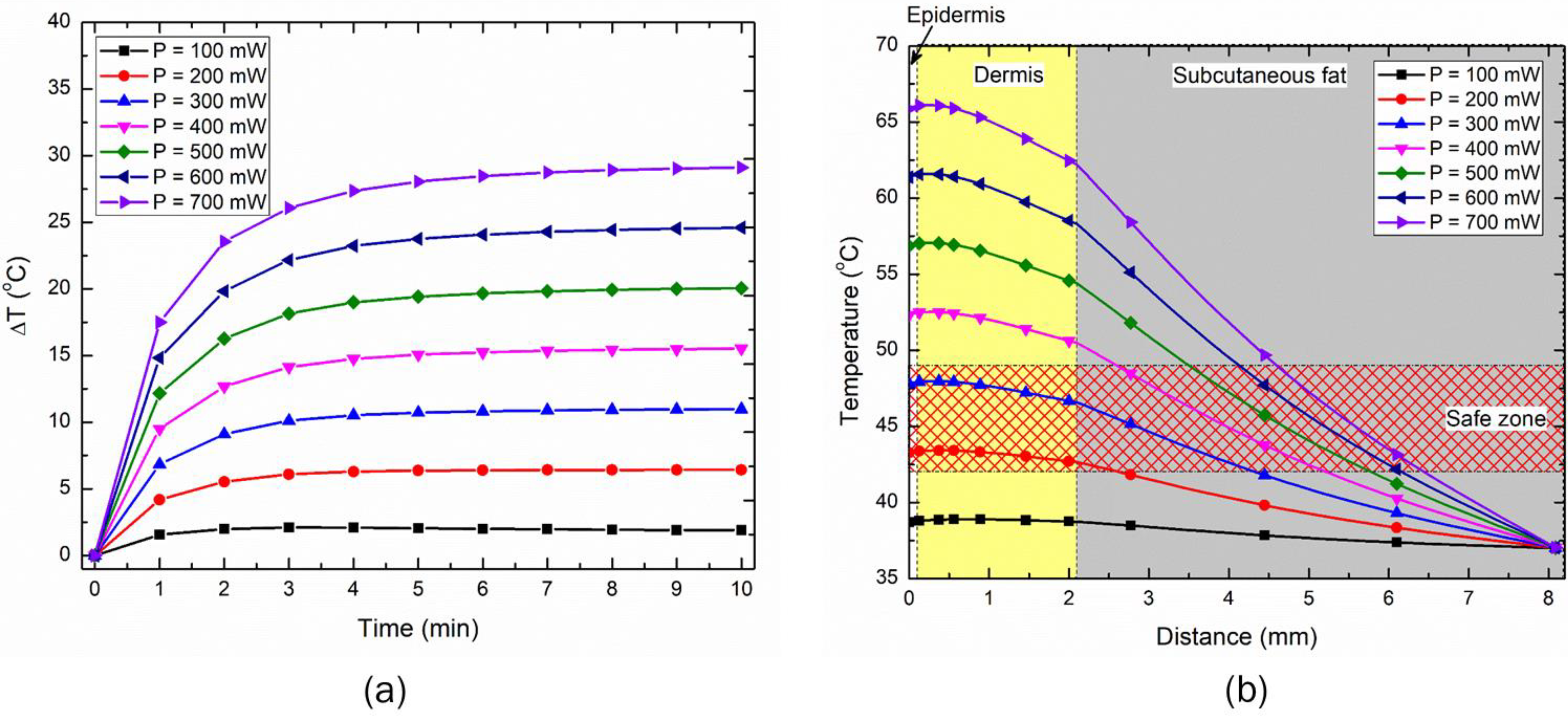 Bioengineering 10 00837 g005