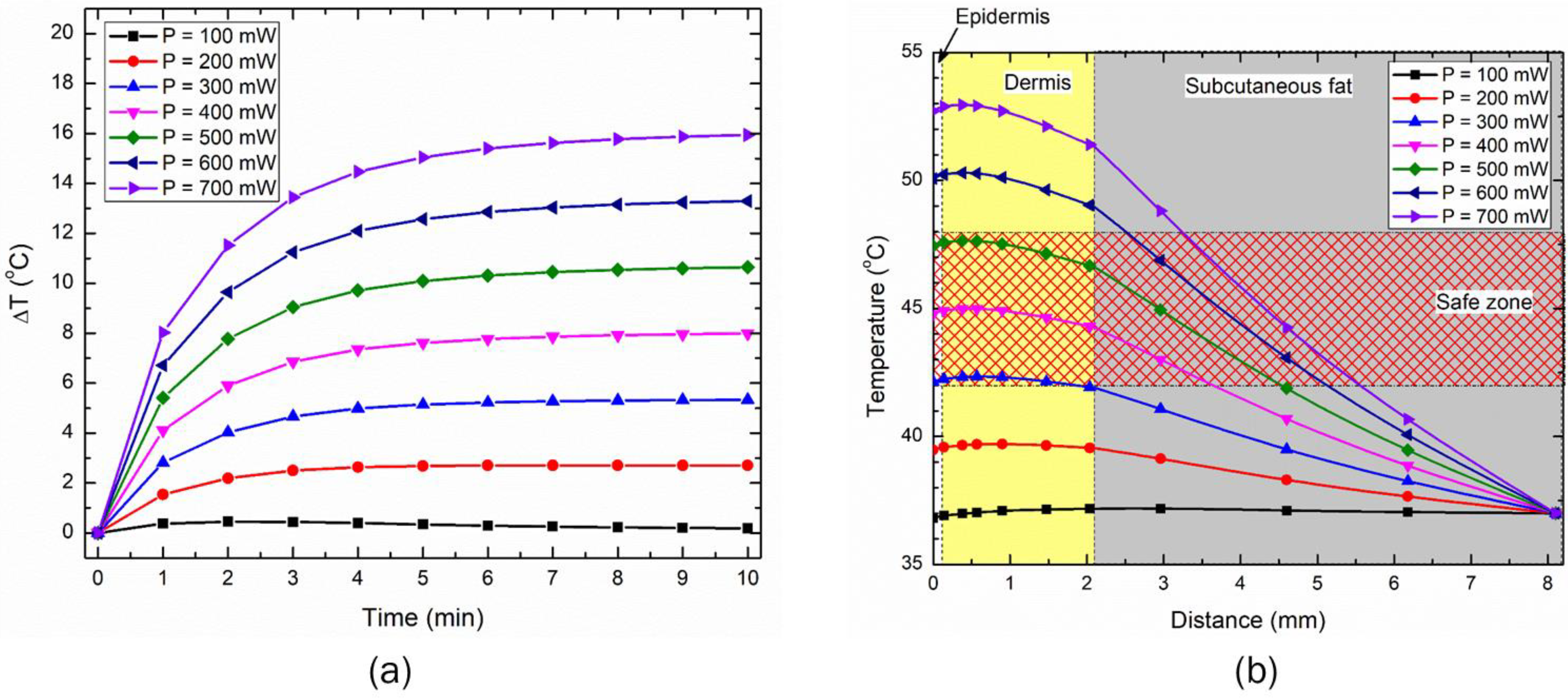 Bioengineering 10 00837 g006