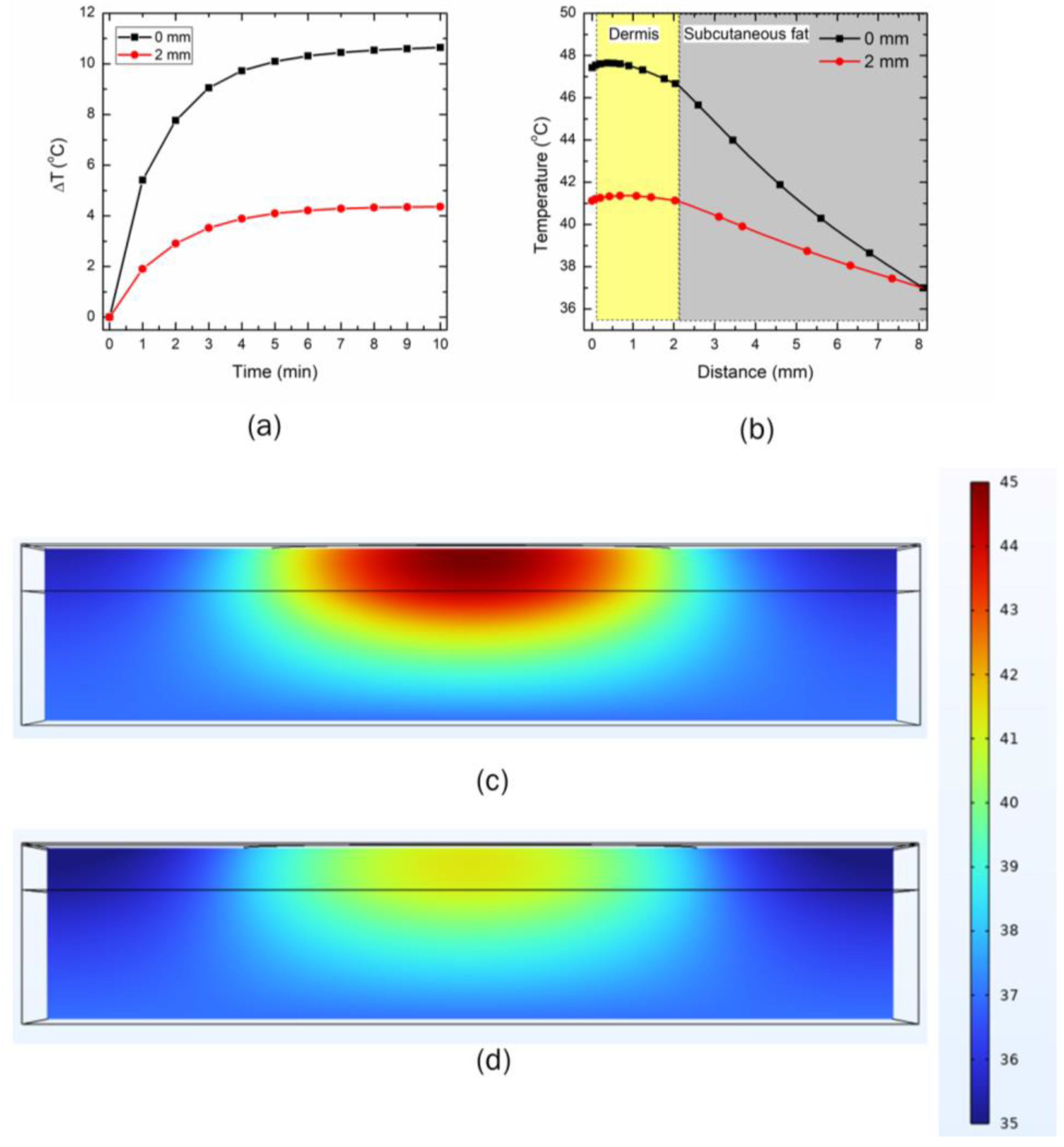 Bioengineering 10 00837 g010