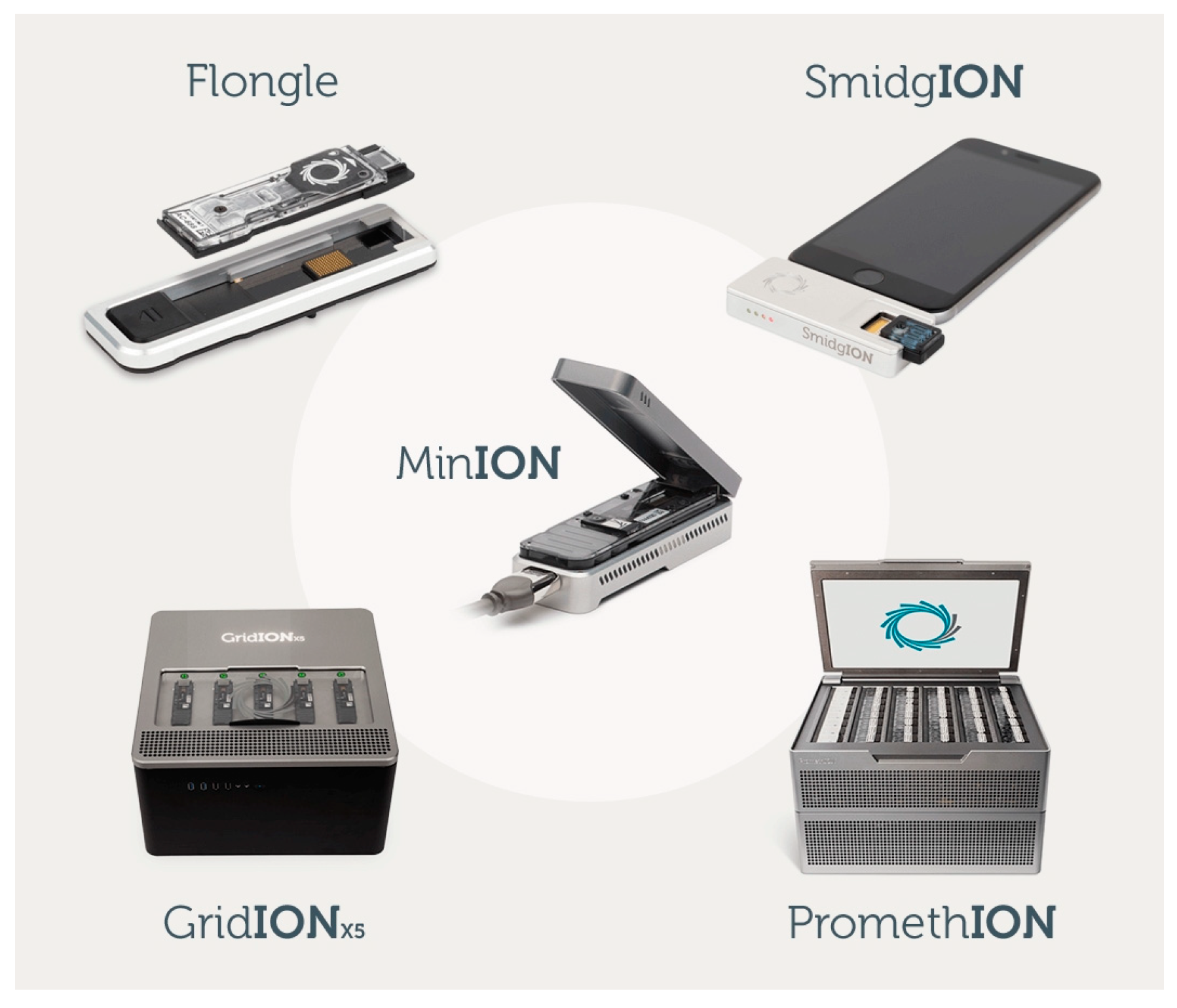 Bioengineering 10 00839 g001