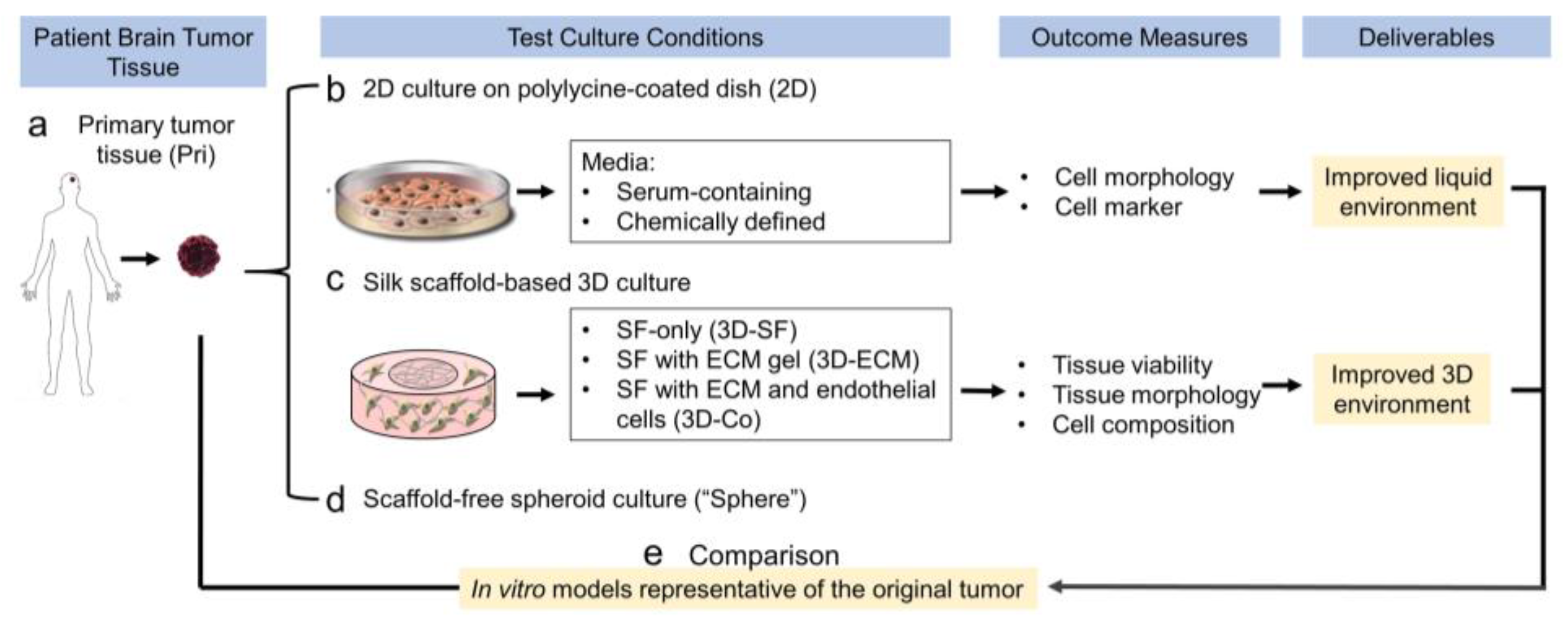 Bioengineering 10 00840 g001