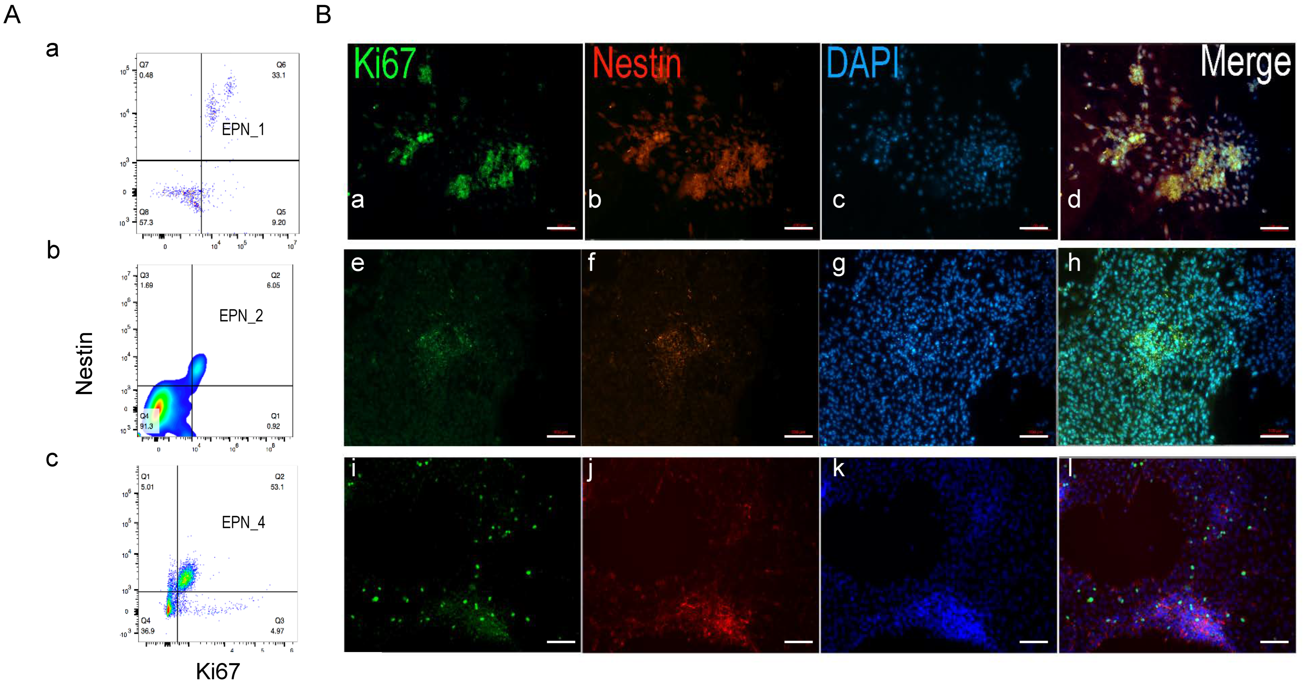 Bioengineering 10 00840 g005
