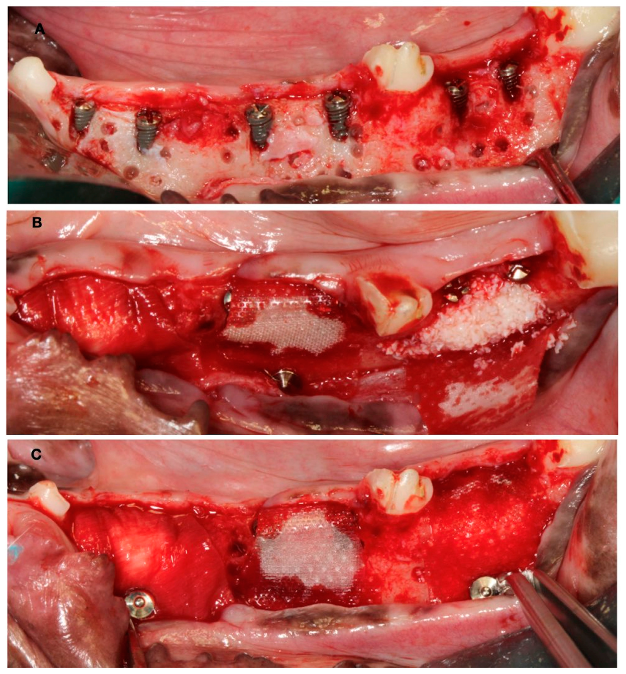 Bioengineering 10 00841 g003