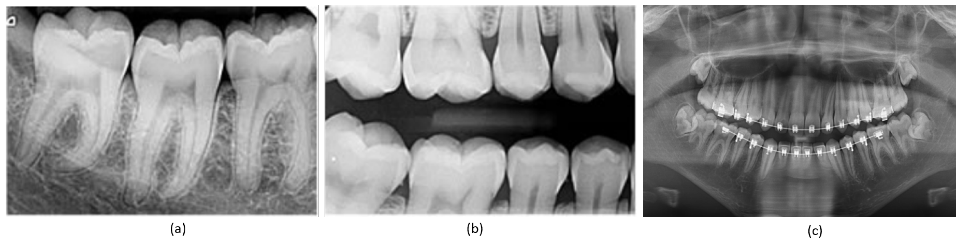 Bioengineering 10 00843 g001 Bioengineering 10 00843 g001