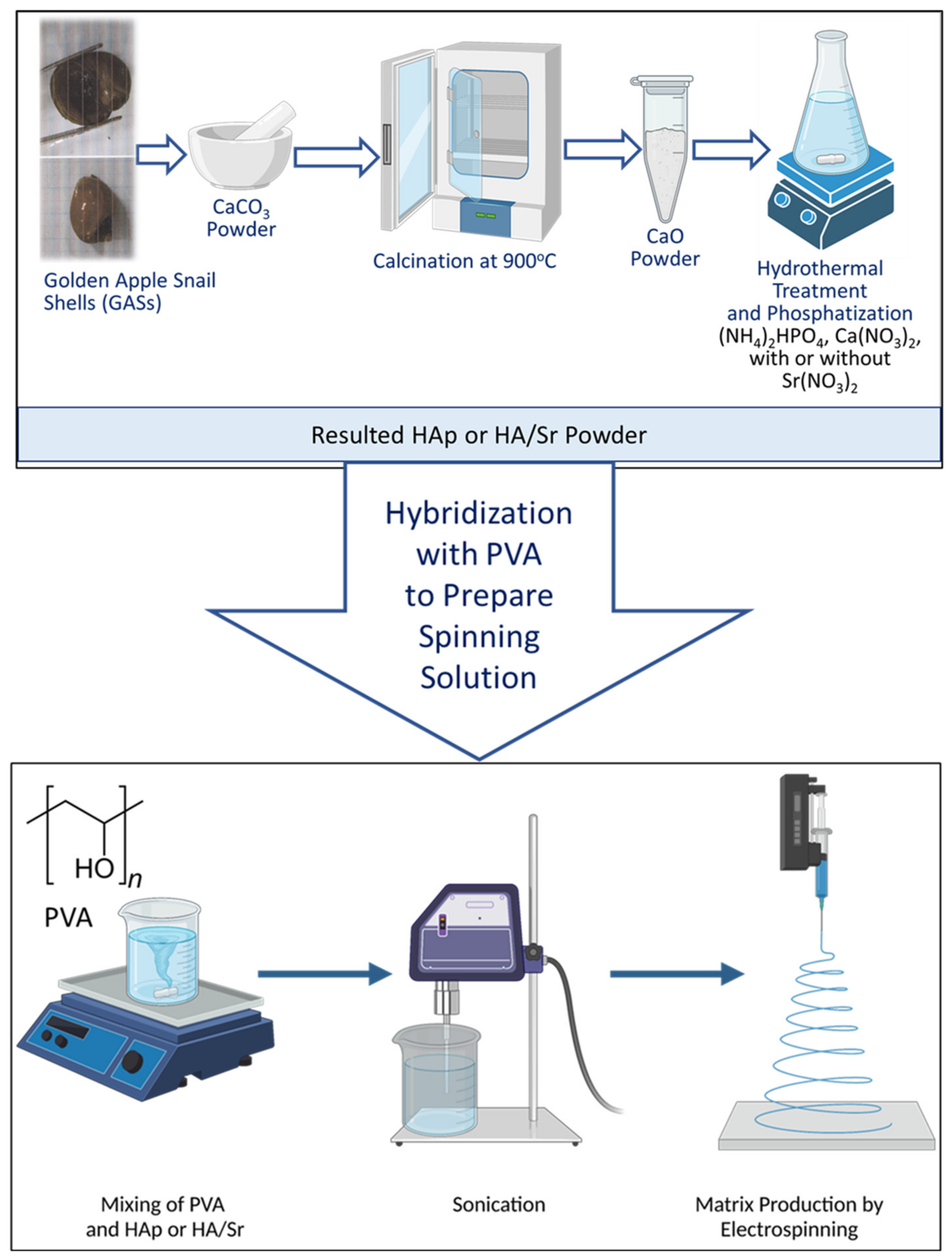 Bioengineering 10 00844 g001 Bioengineering 10 00844 g001
