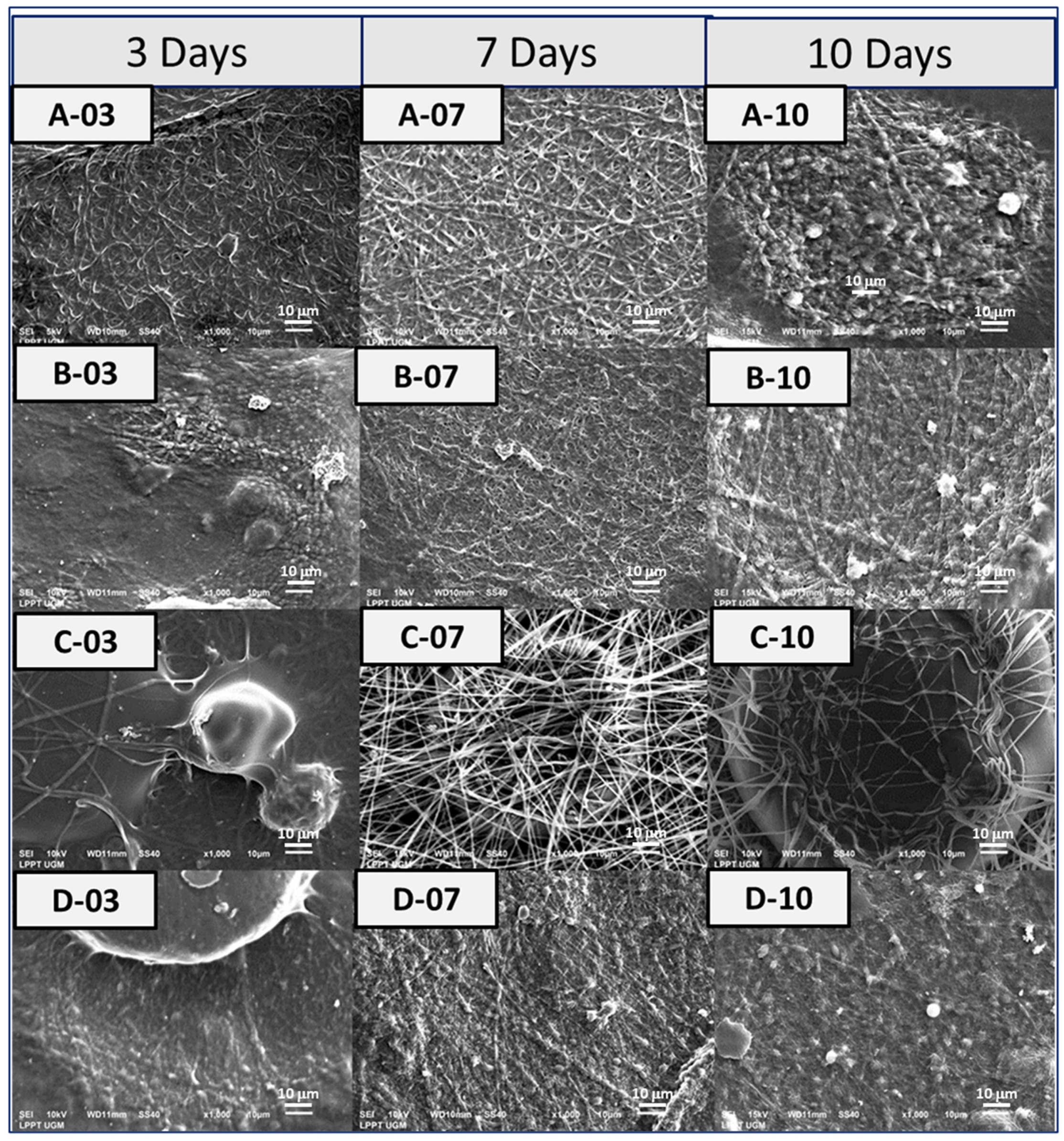 Bioengineering 10 00844 g008 Bioengineering 10 00844 g008
