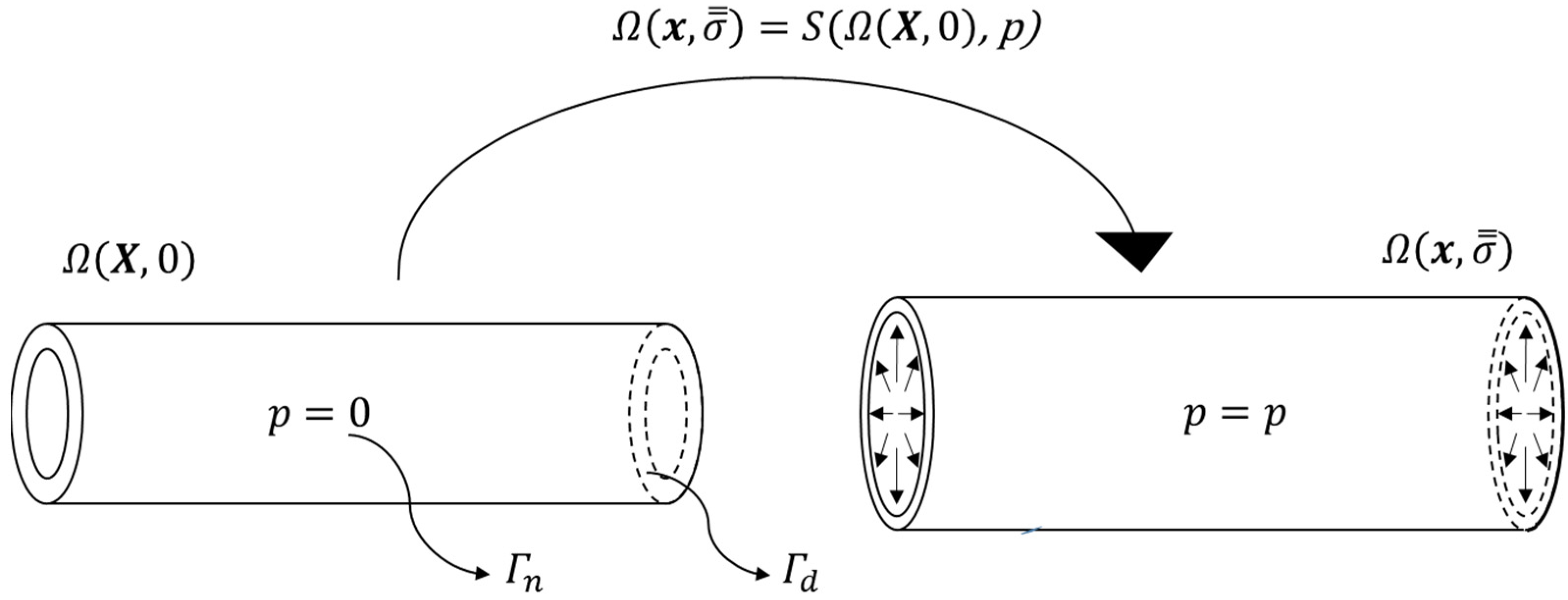 Bioengineering 10 00846 g001