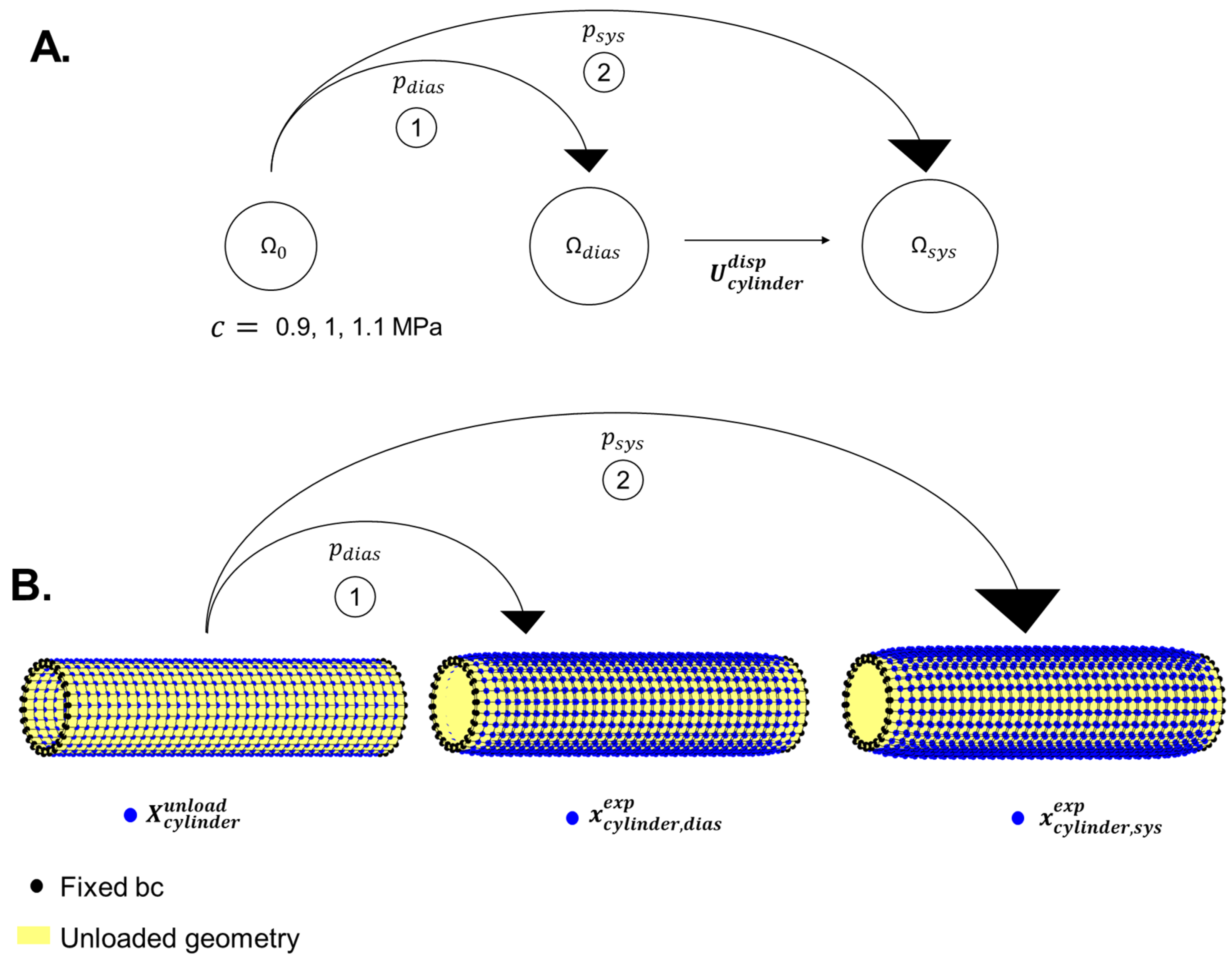 Bioengineering 10 00846 g004