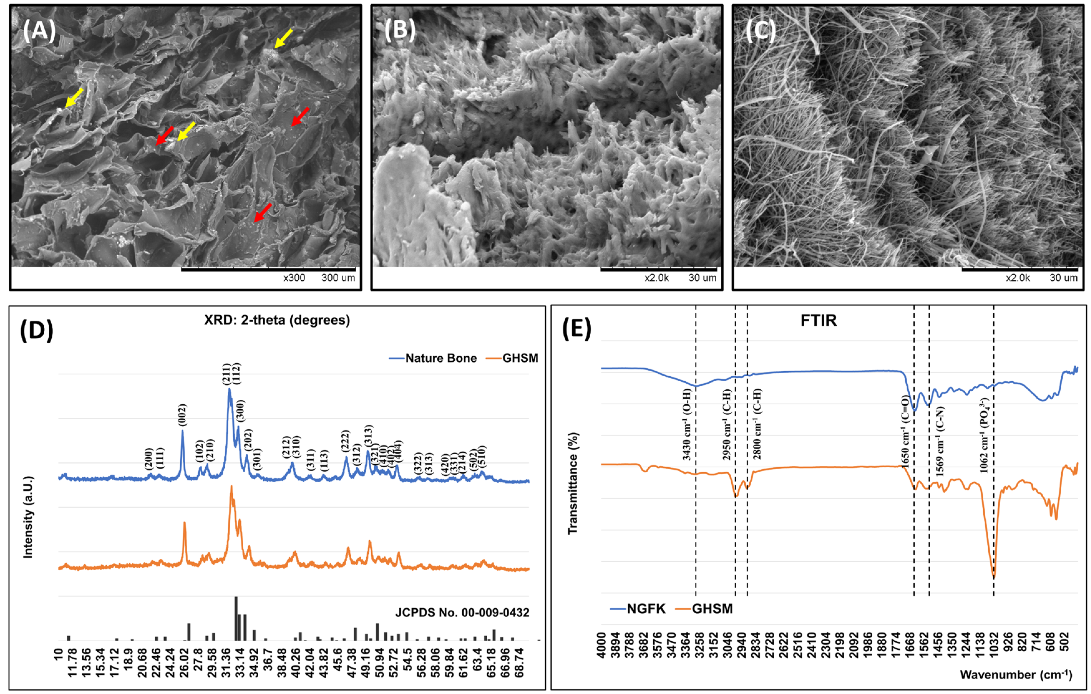 Bioengineering 10 00847 g002