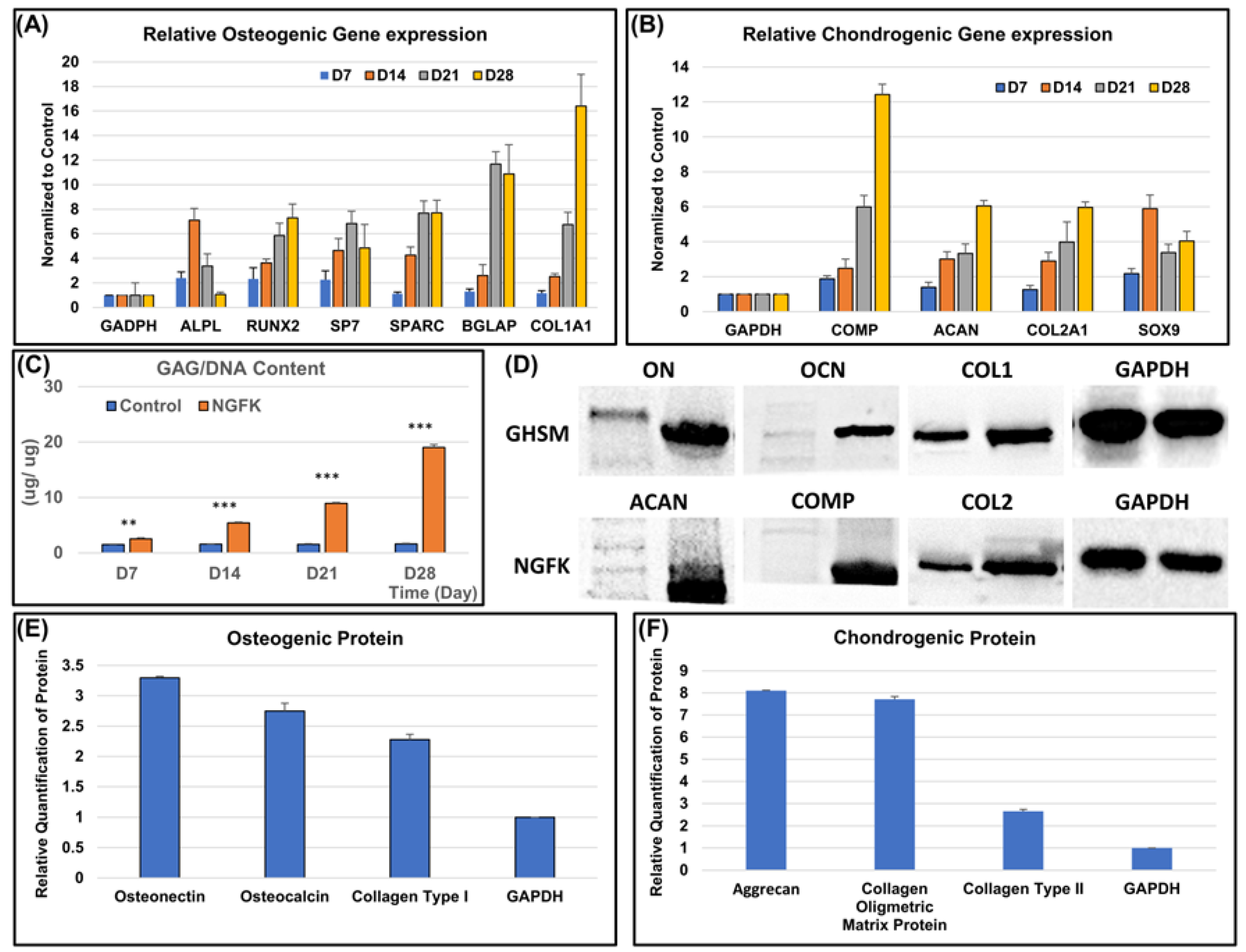 Bioengineering 10 00847 g004