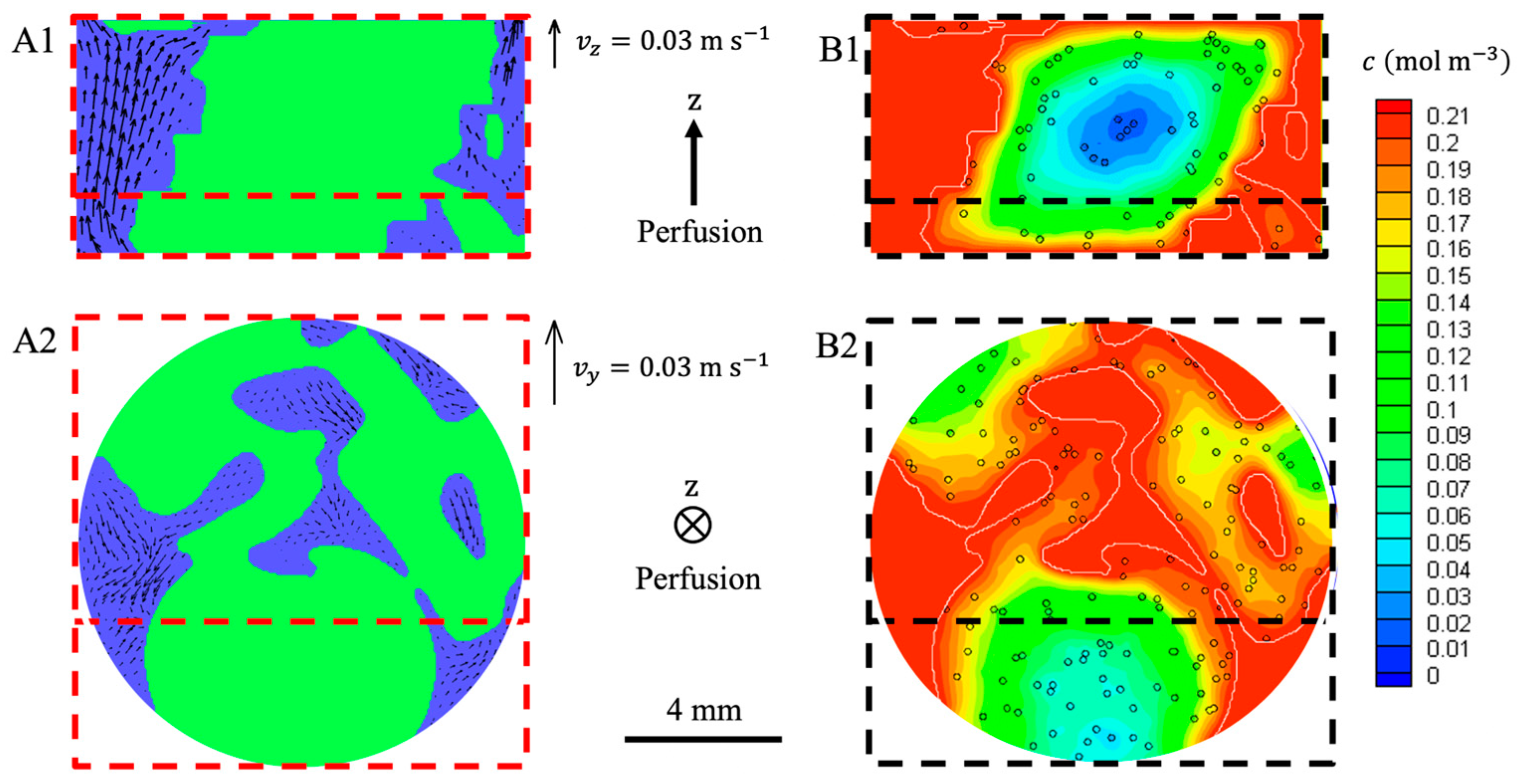 Bioengineering 10 00849 g010 Bioengineering 10 00849 g010