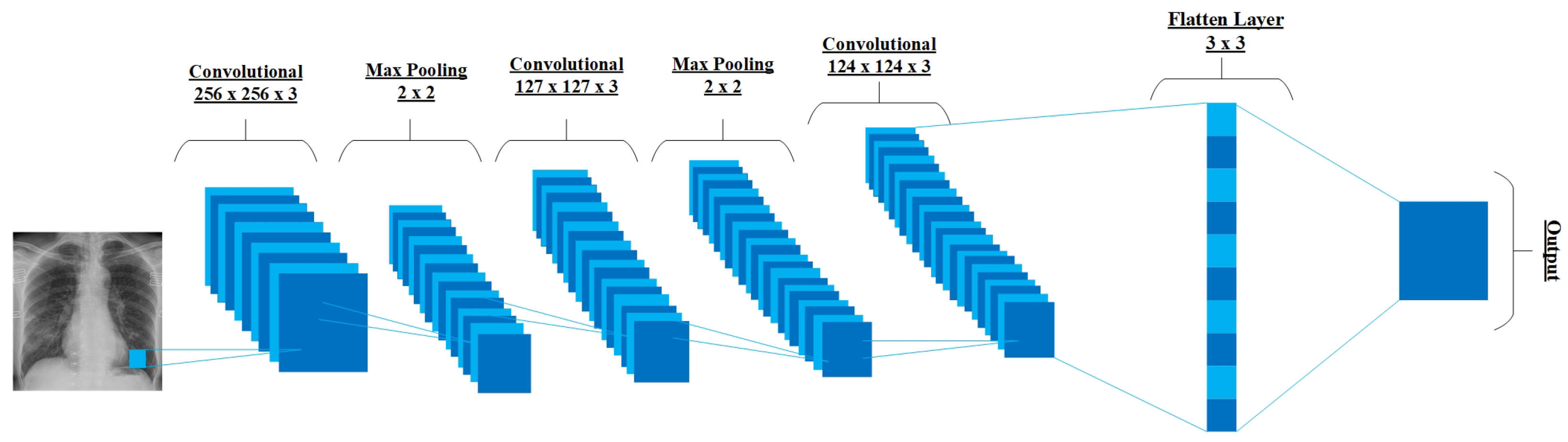 Bioengineering 10 00850 g010
