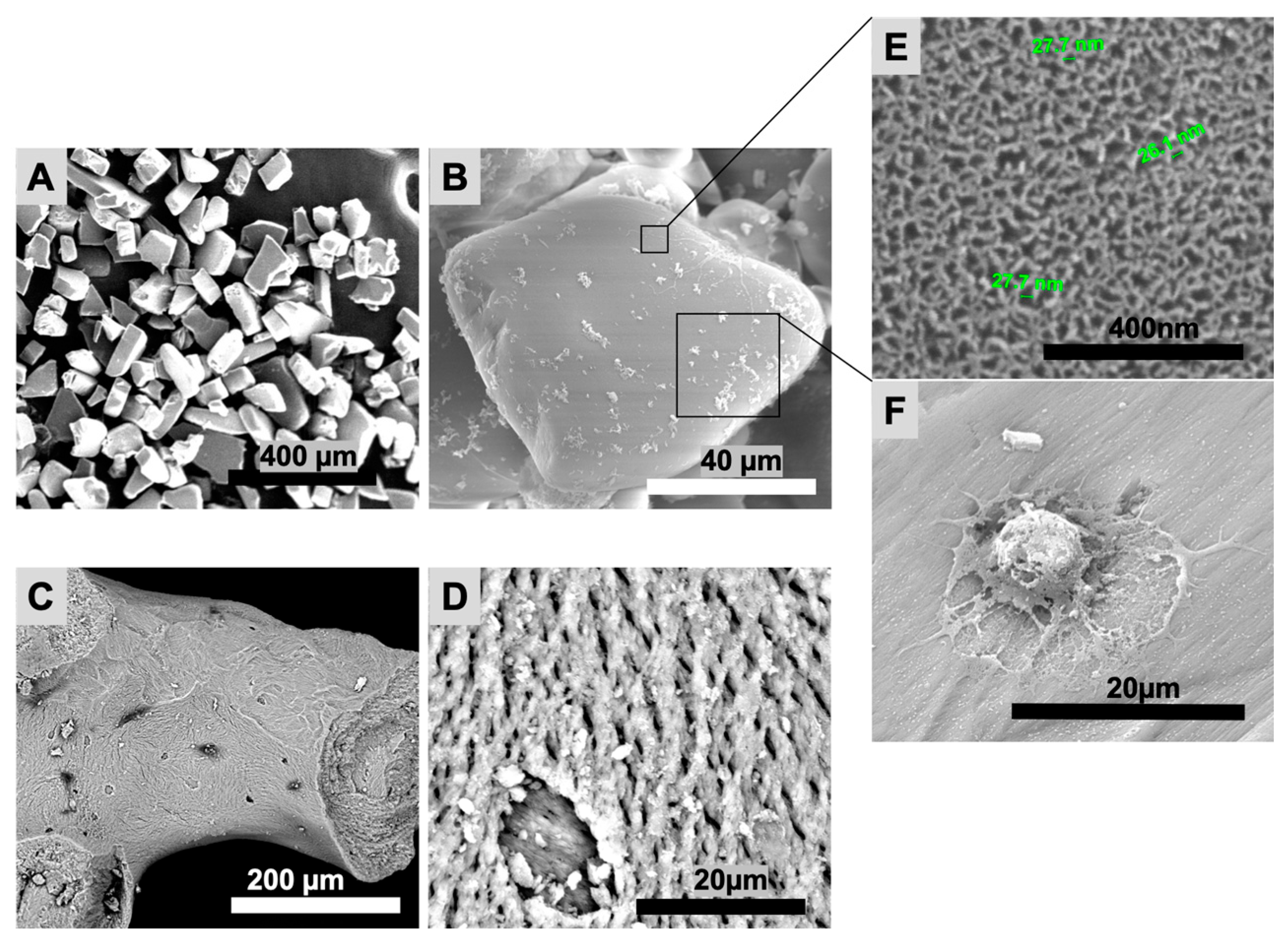 Bioengineering 10 00852 g002