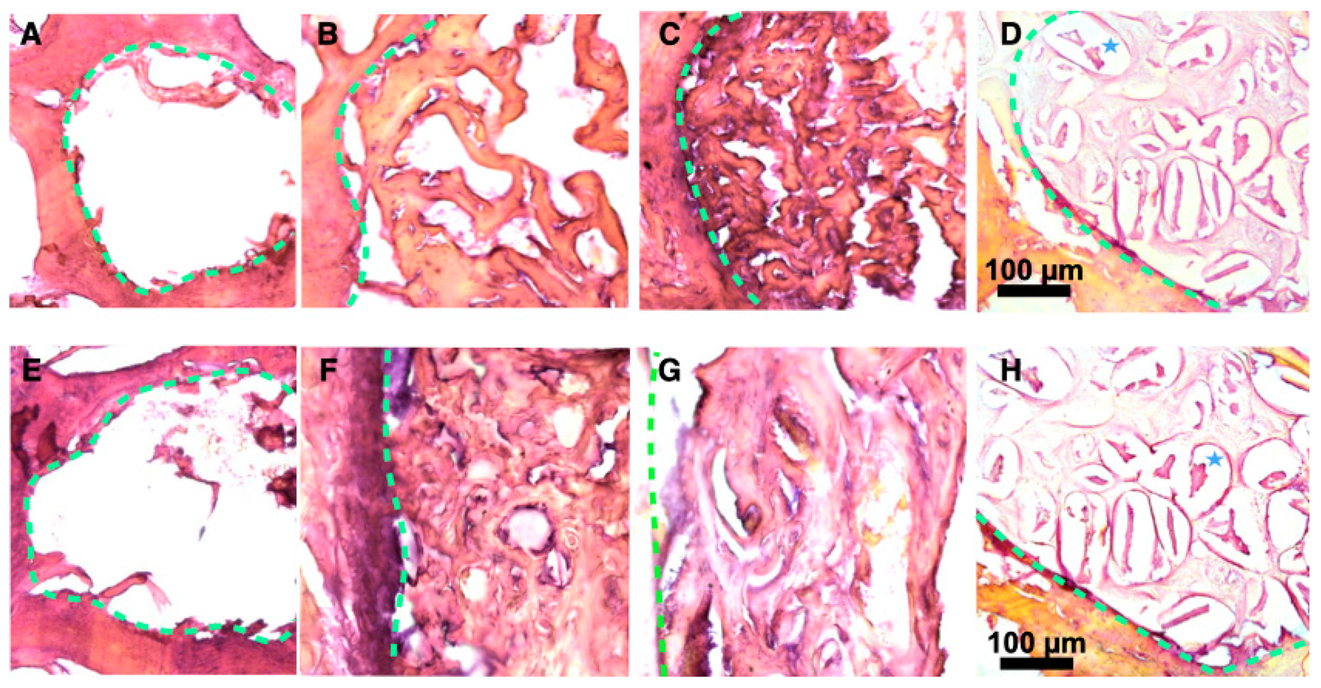 Bioengineering 10 00852 g005
