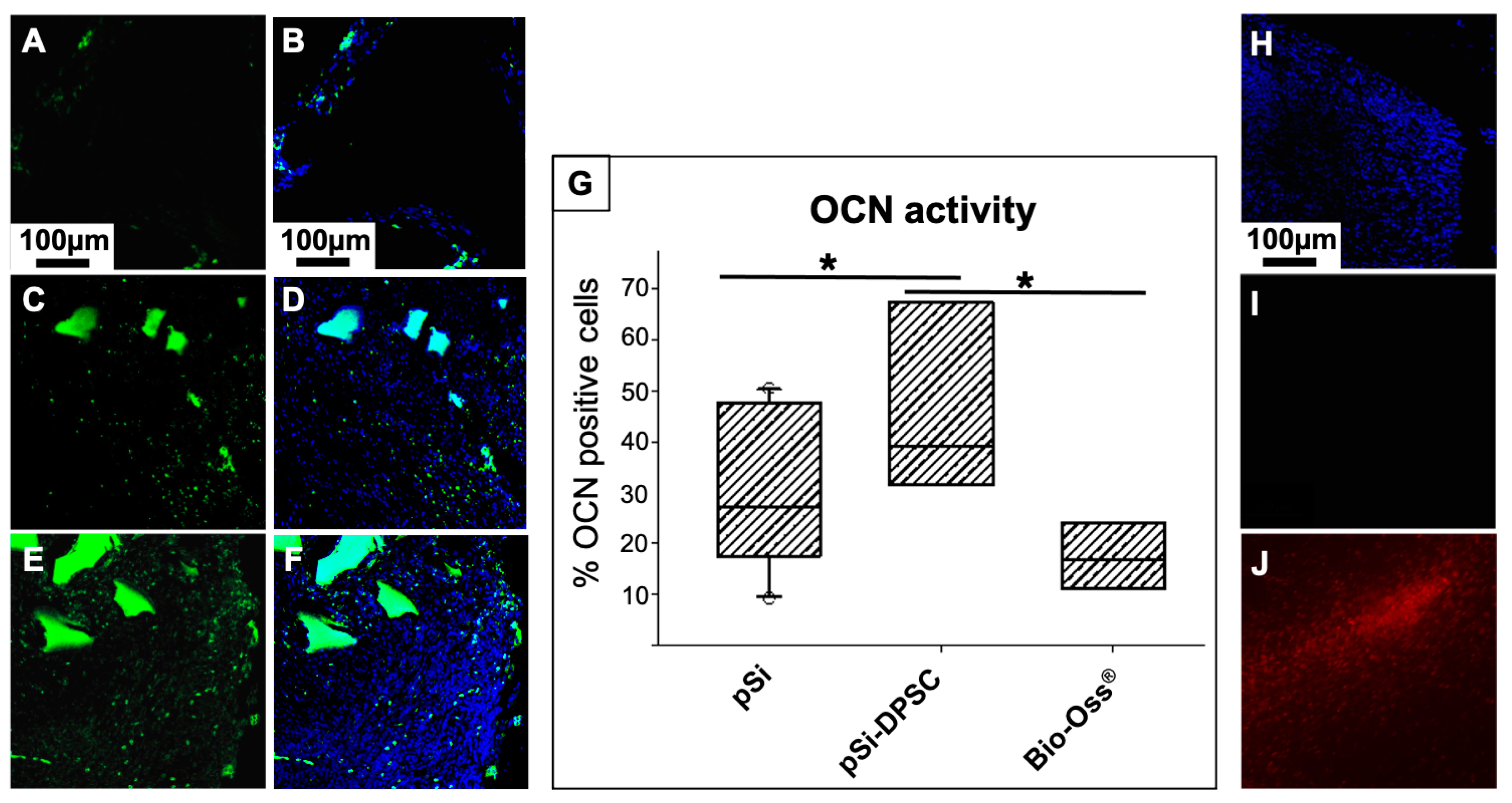 Bioengineering 10 00852 g006