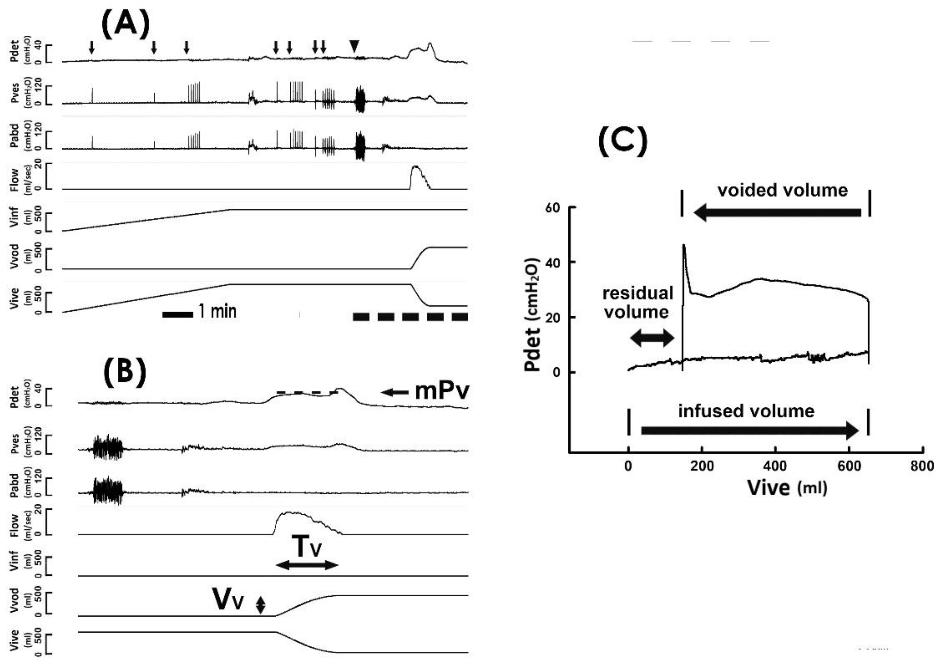 Bioengineering 10 00853 g001