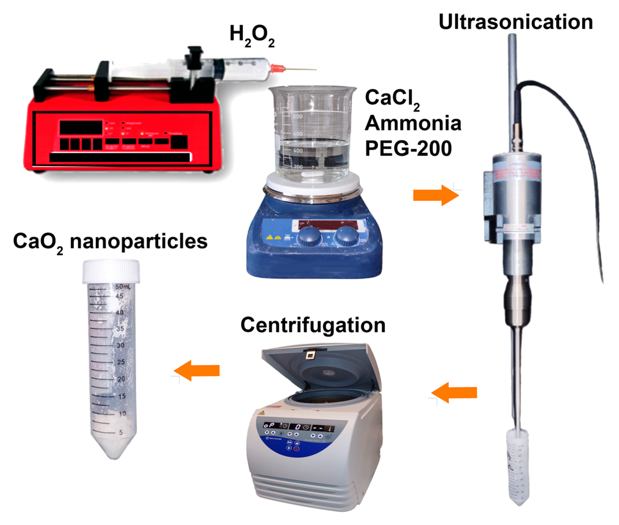 Bioengineering 10 00854 g001