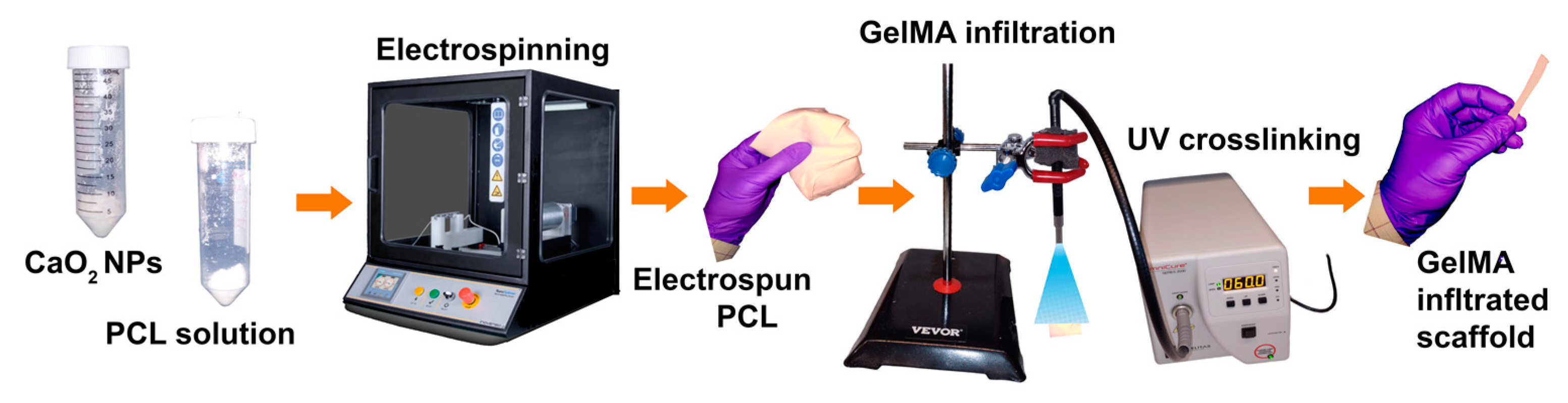 Bioengineering 10 00854 g002