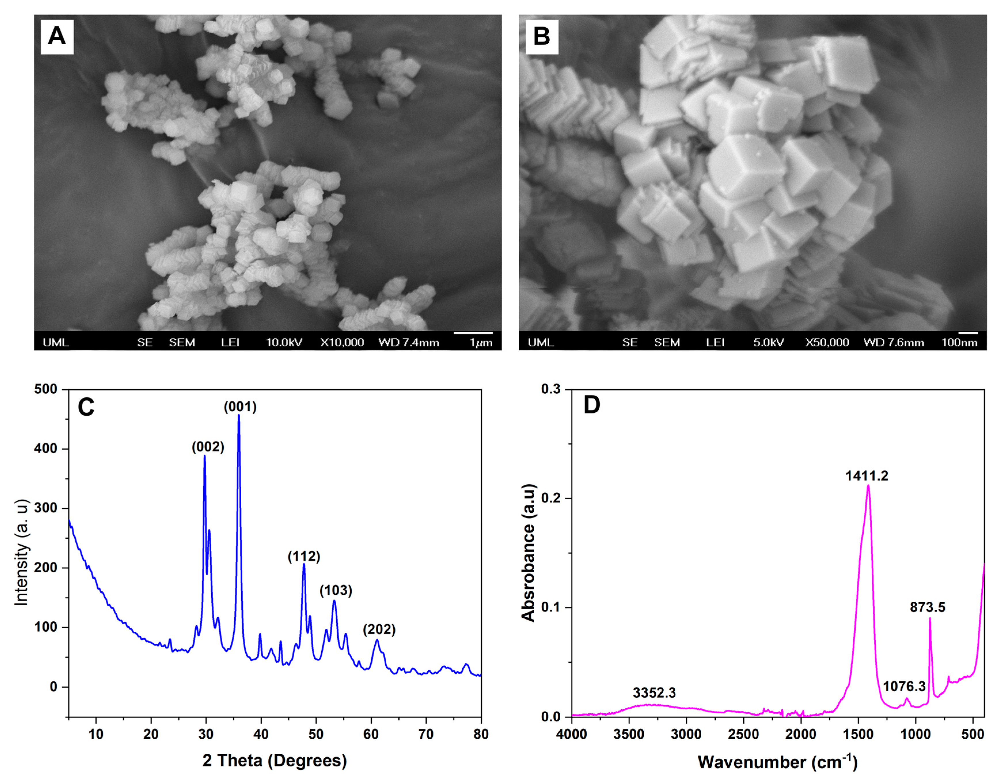 Bioengineering 10 00854 g003