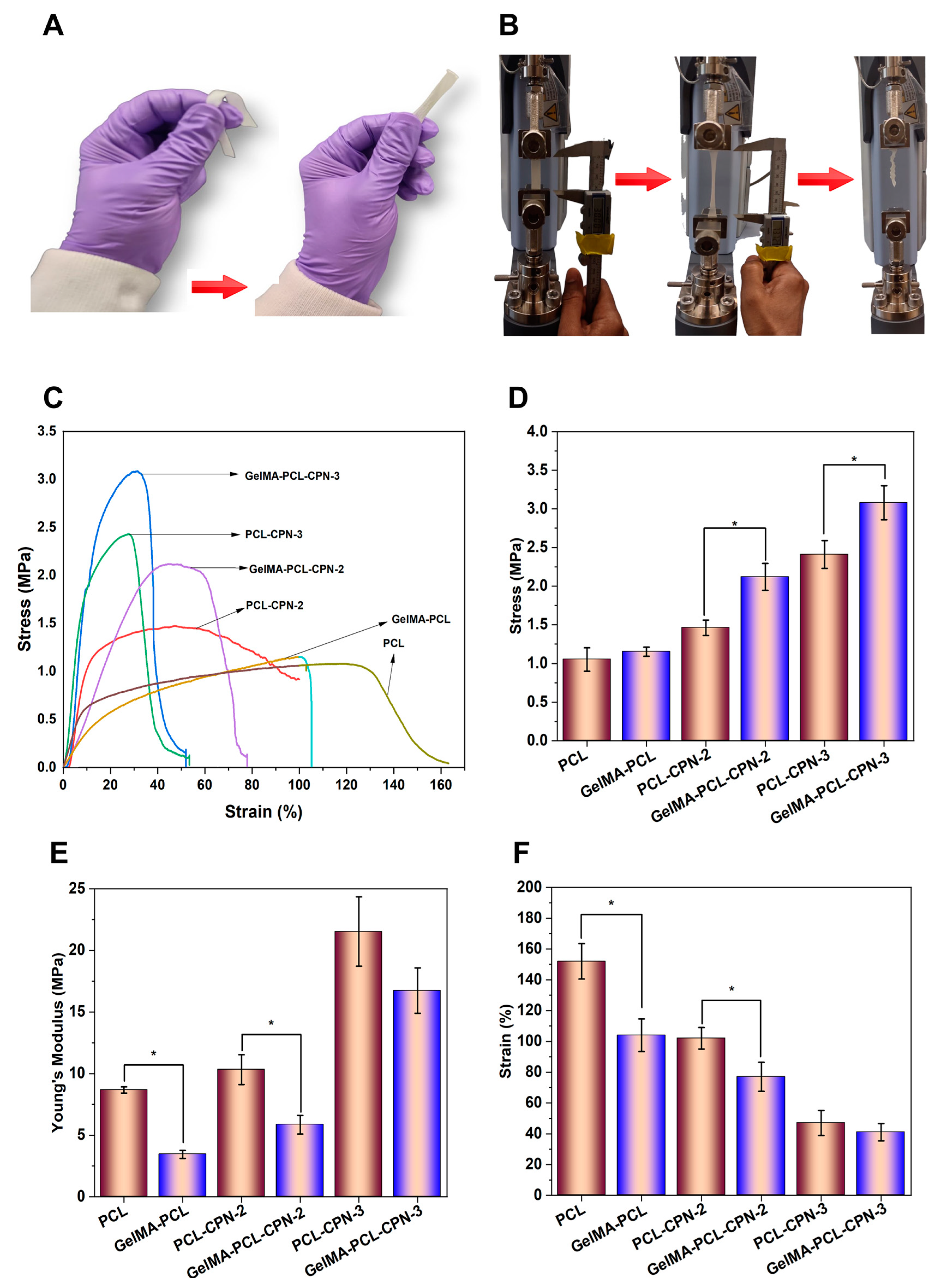 Bioengineering 10 00854 g005