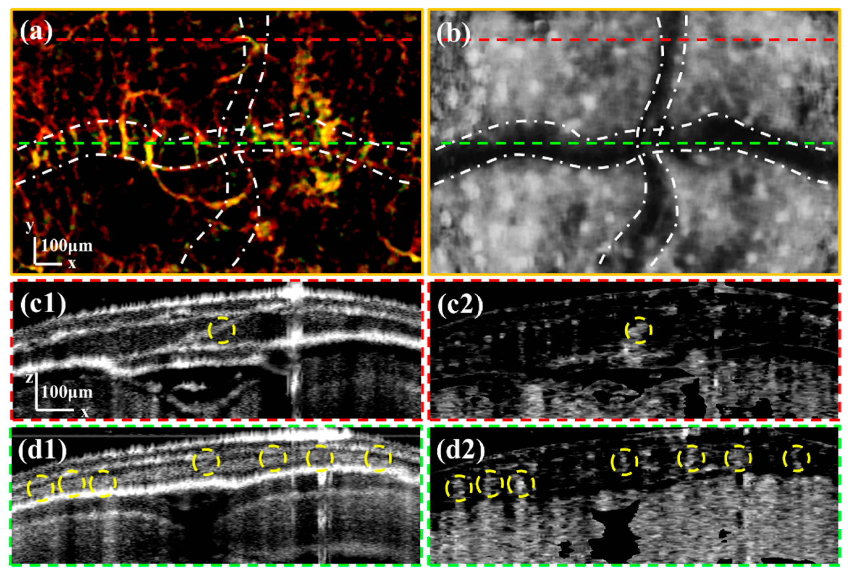 Bioengineering 10 00856 g006 Bioengineering 10 00856 g006